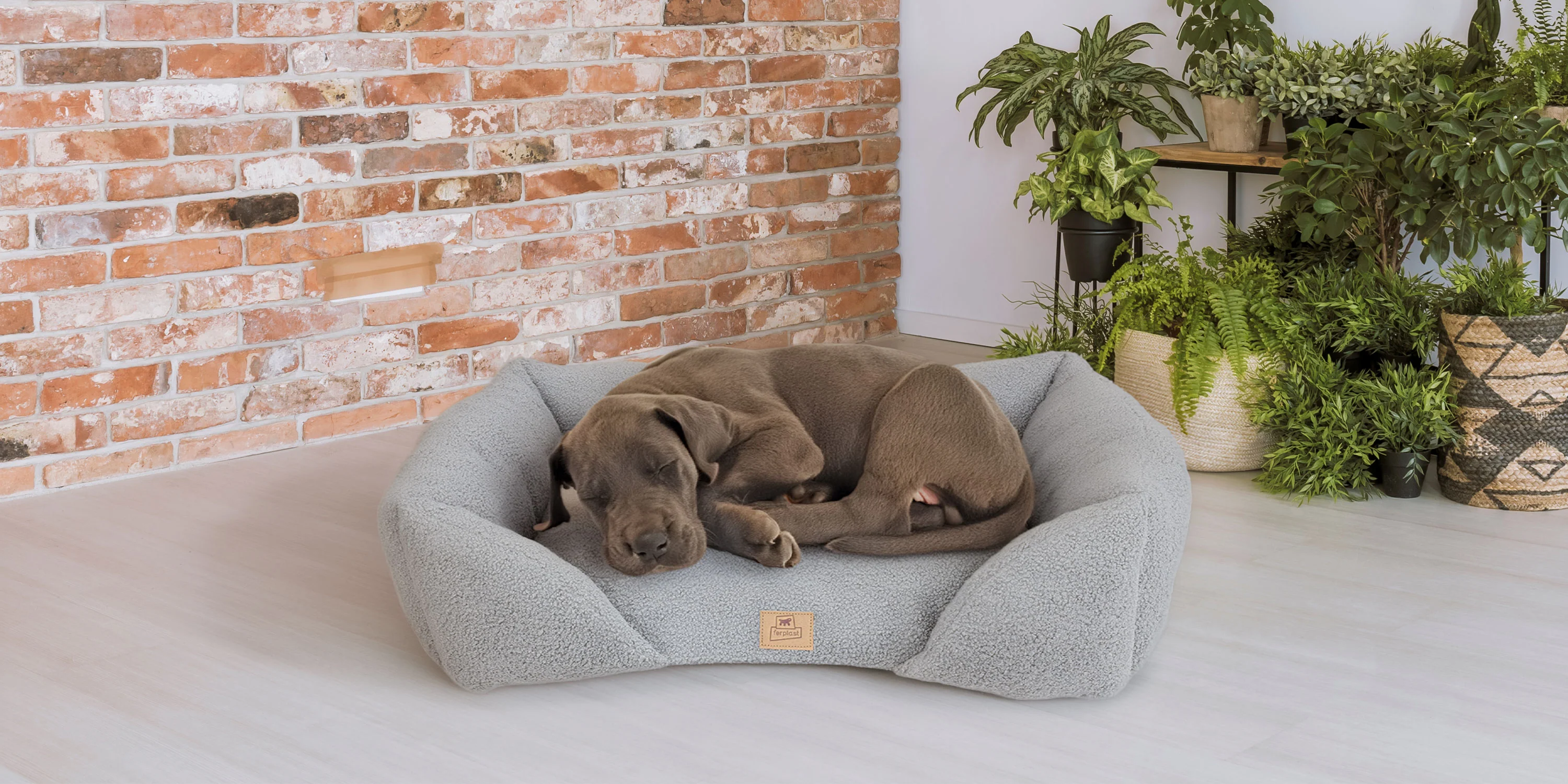 Welcome to Our Store