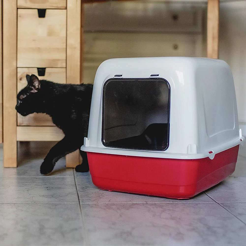 ARIEL 10 HOME - Image 4