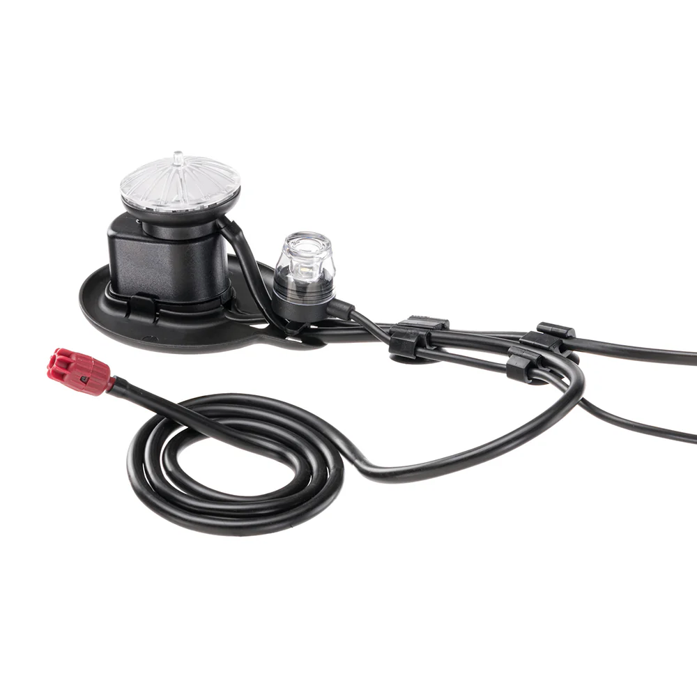 BUBBLE SHOW - Image 3