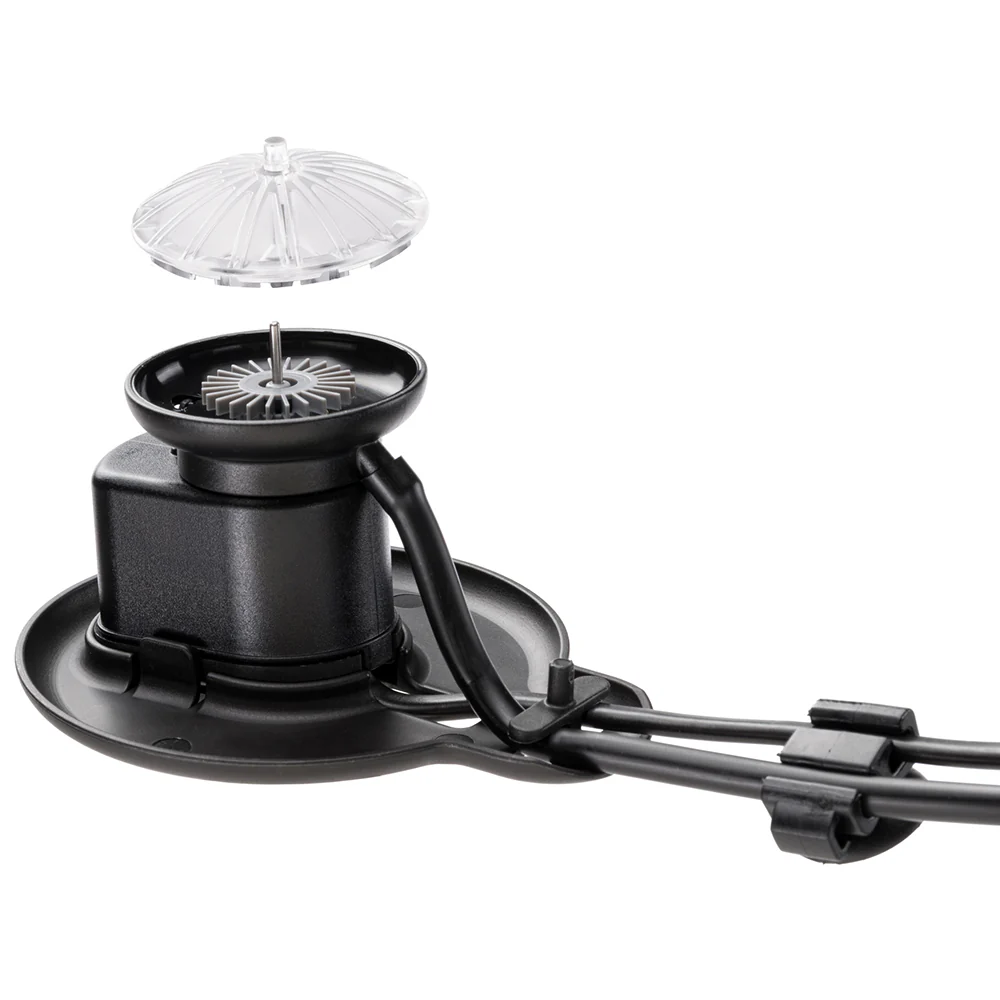 BUBBLE SHOW - Image 5