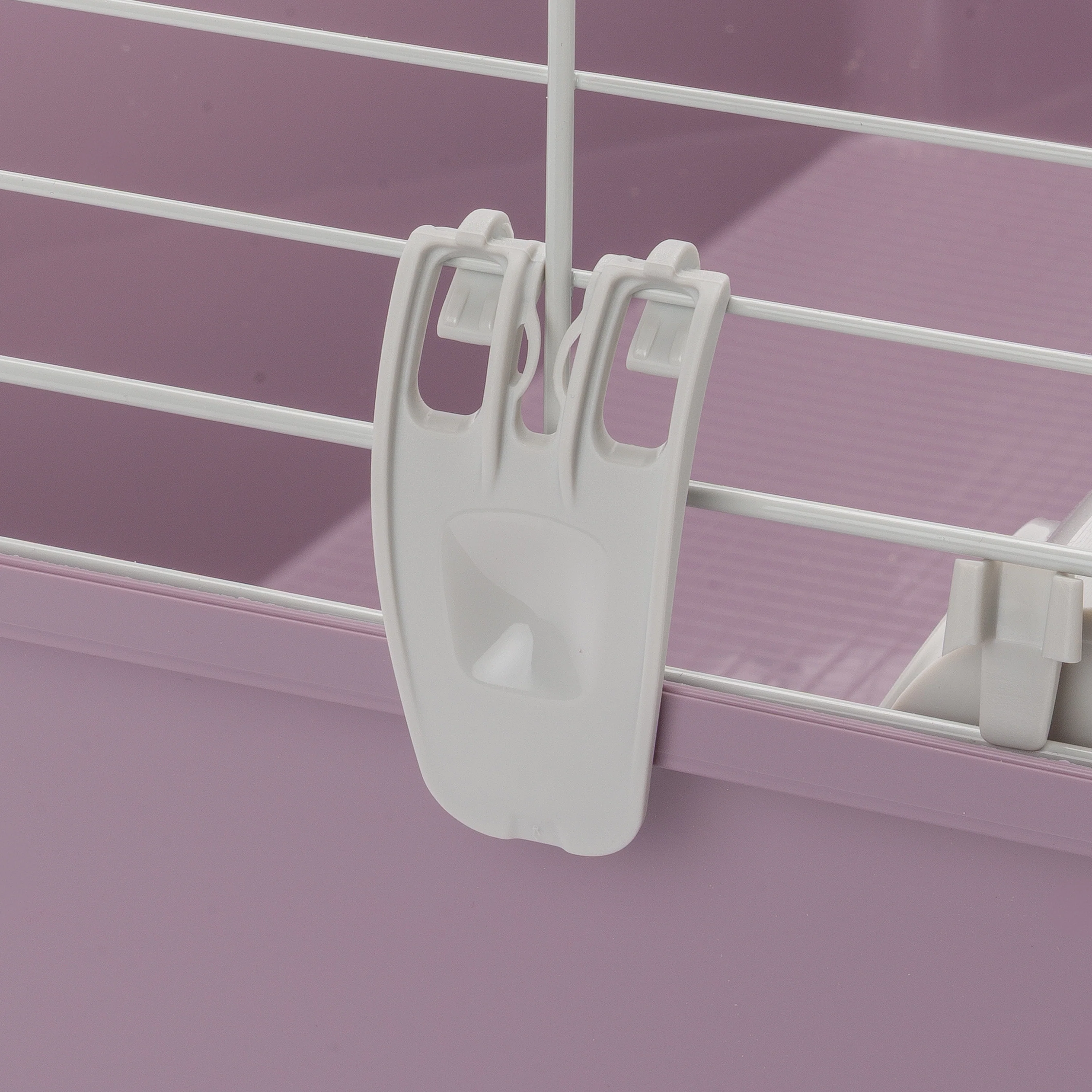 GUINEA 70 - Image 11