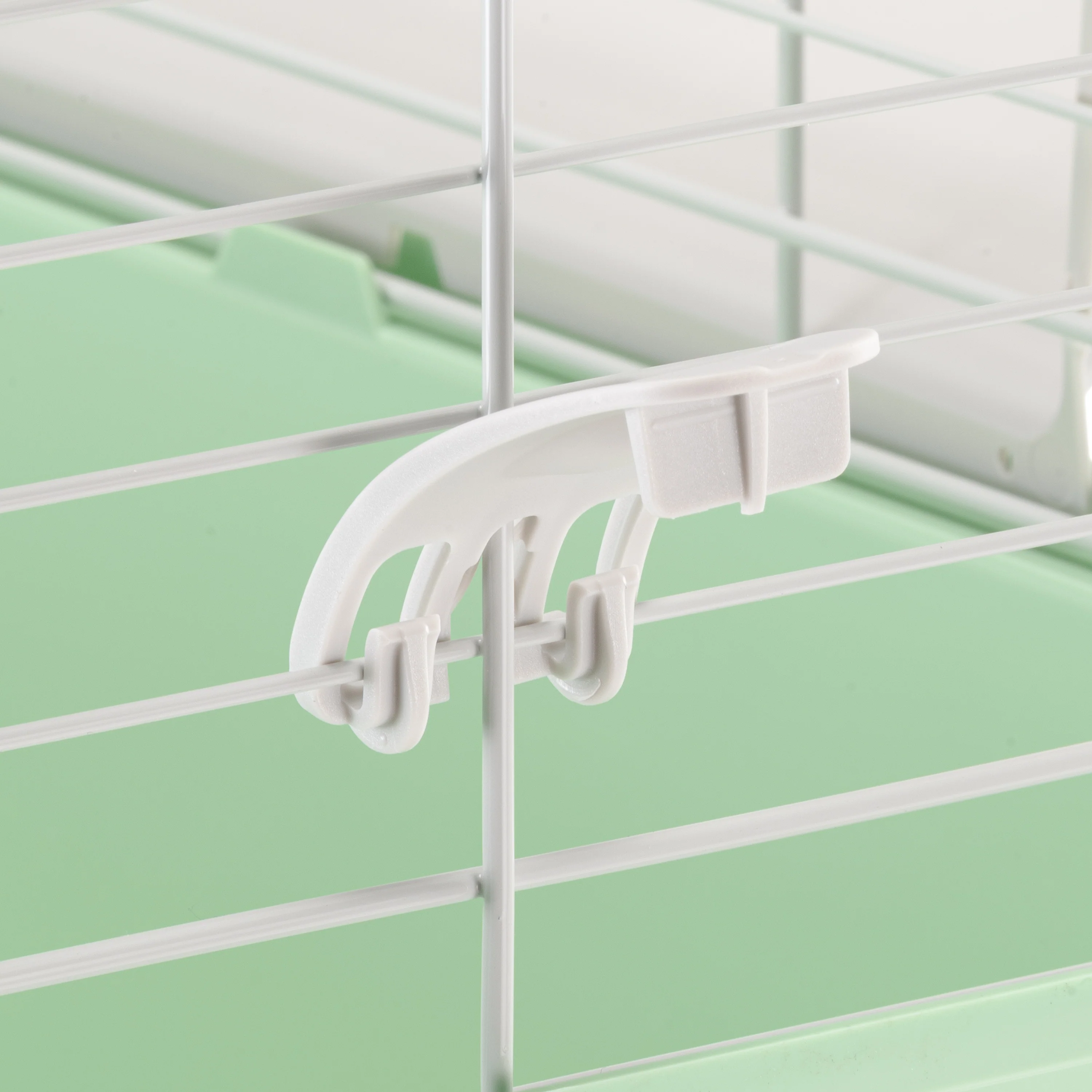 GUINEA 60 - Image 10