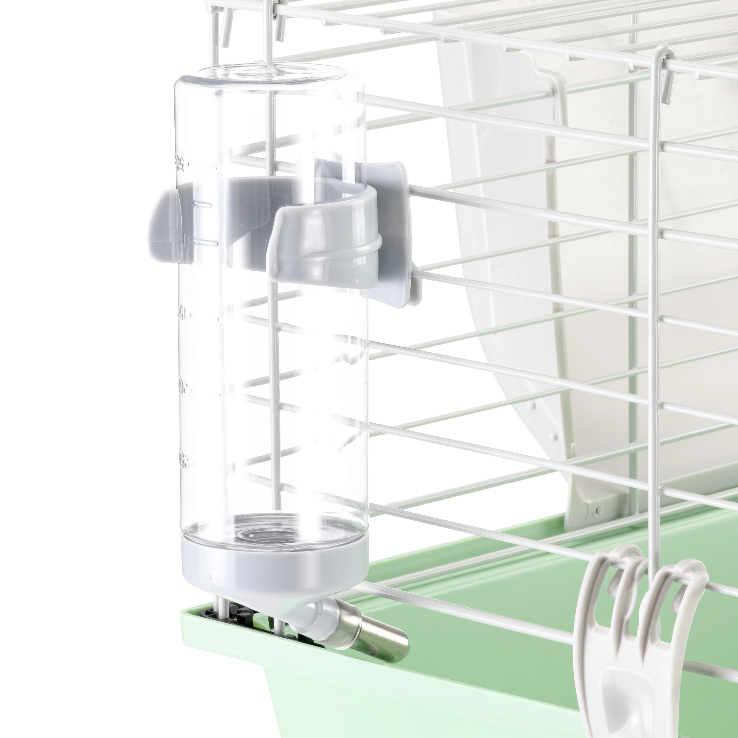 GUINEA 60 - Image 11