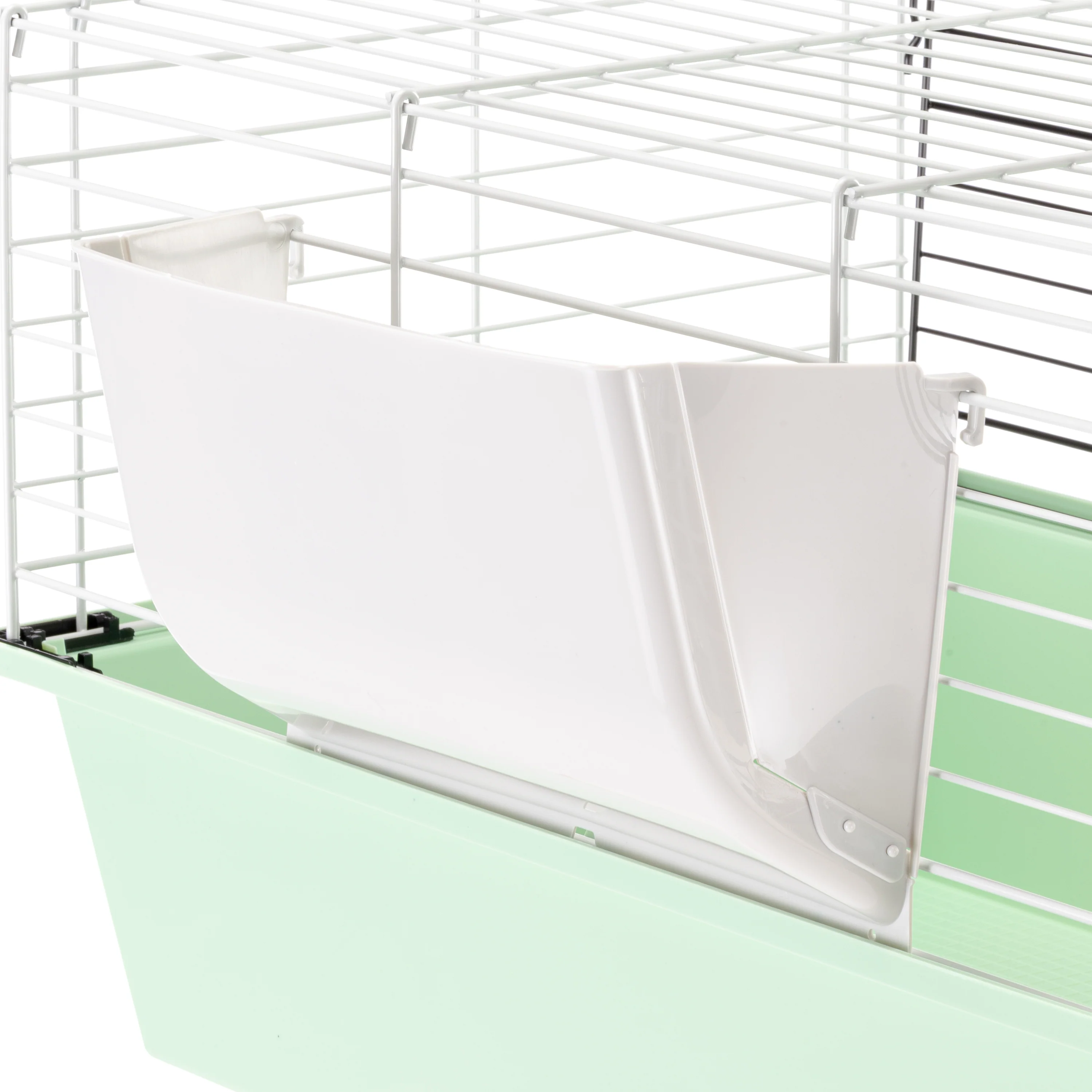 GUINEA 60 - Image 12