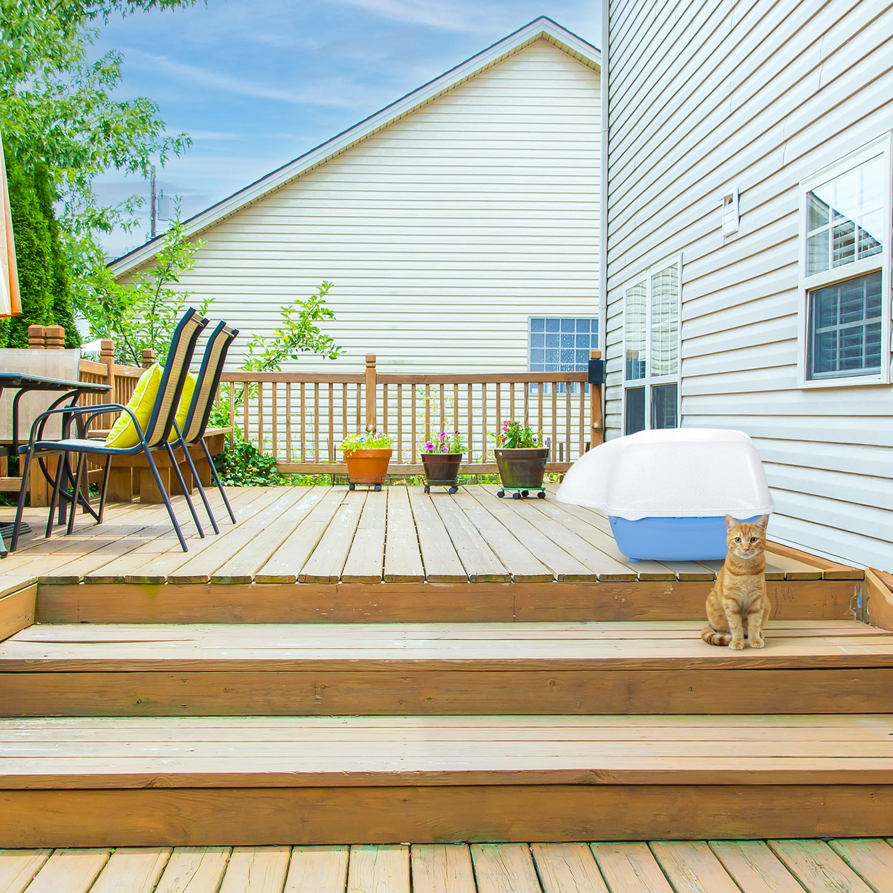 COSMIC OUTDOOR - Image 3