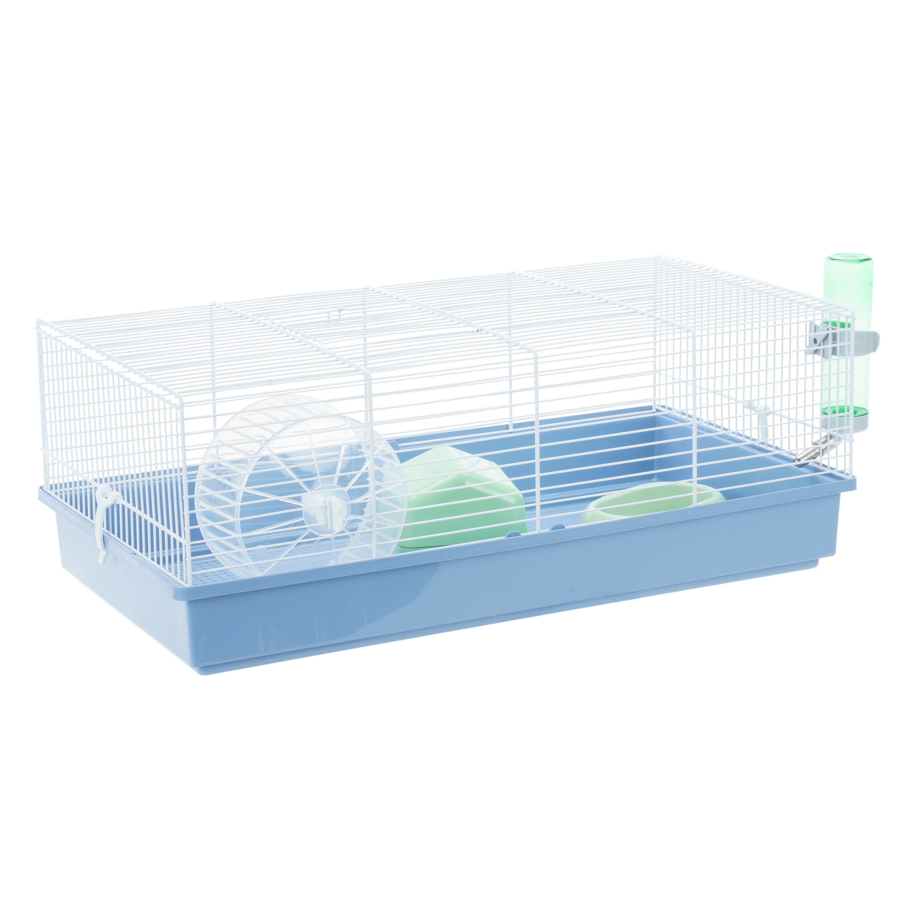 CRICETI 11 - Image 7