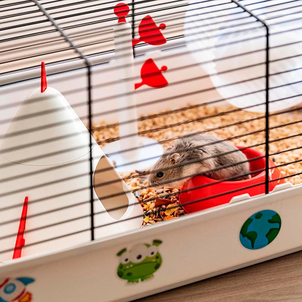 CRICETI 9 SPACE - Image 5