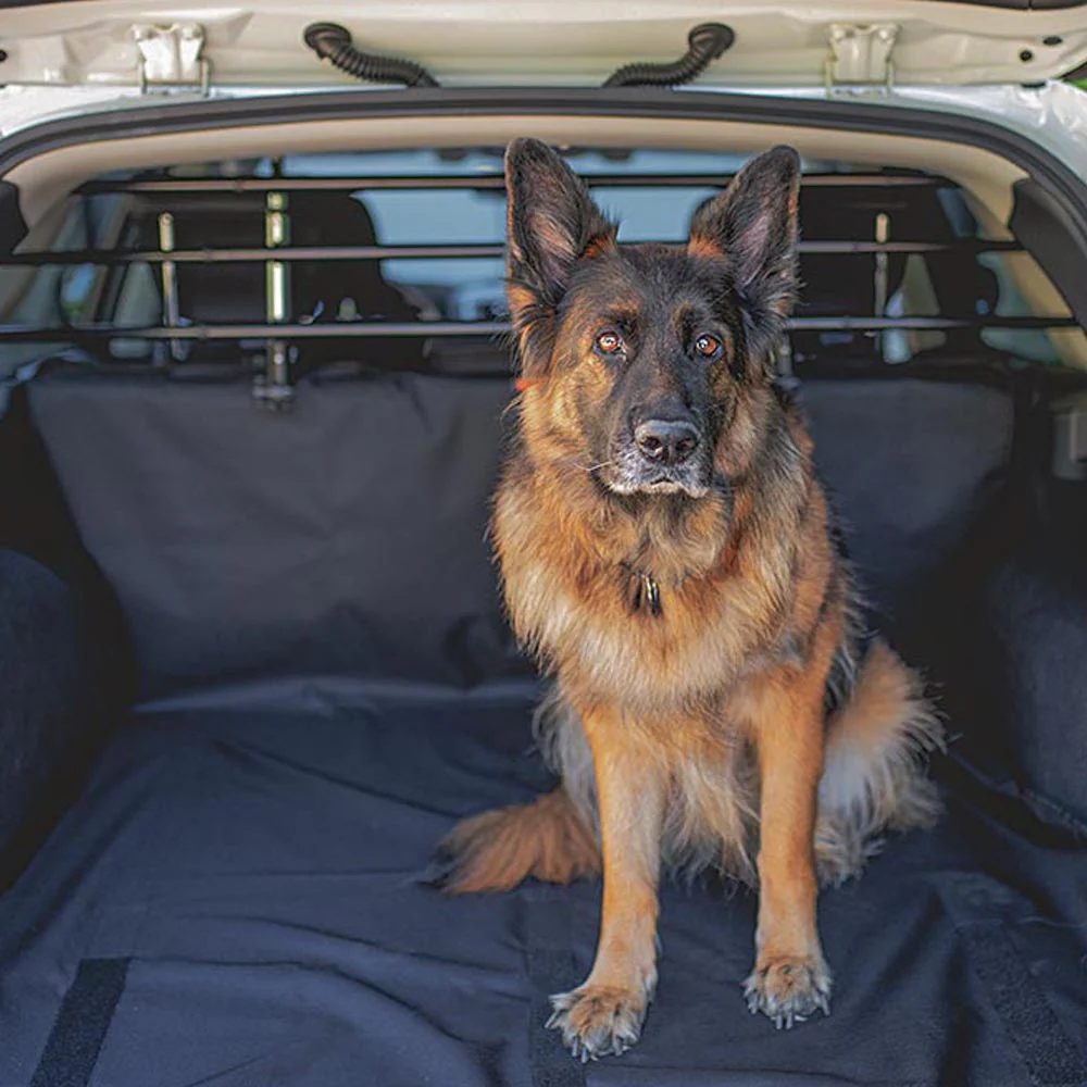 DOG CAR SECURITY - Image 3
