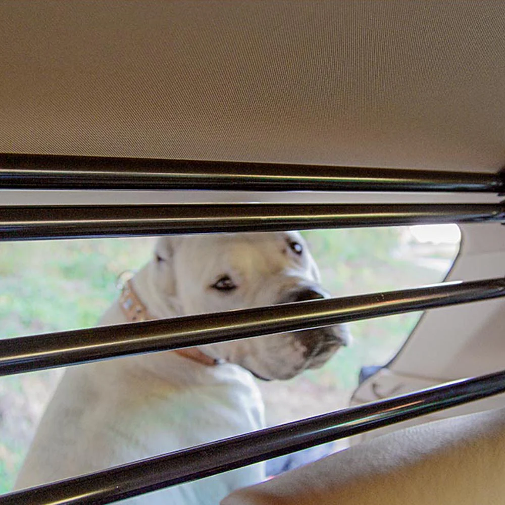 DOG CAR SECURITY - Image 5