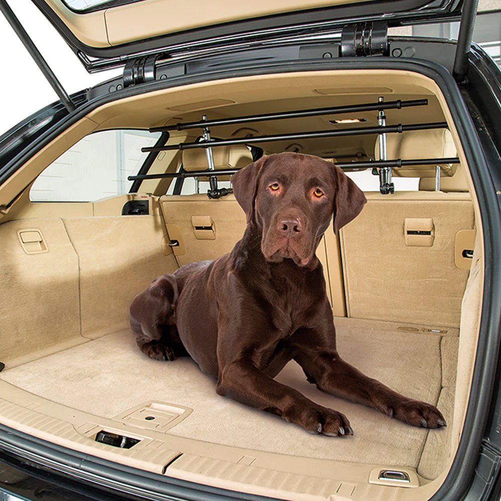 DOG CAR SECURITY - Image 7