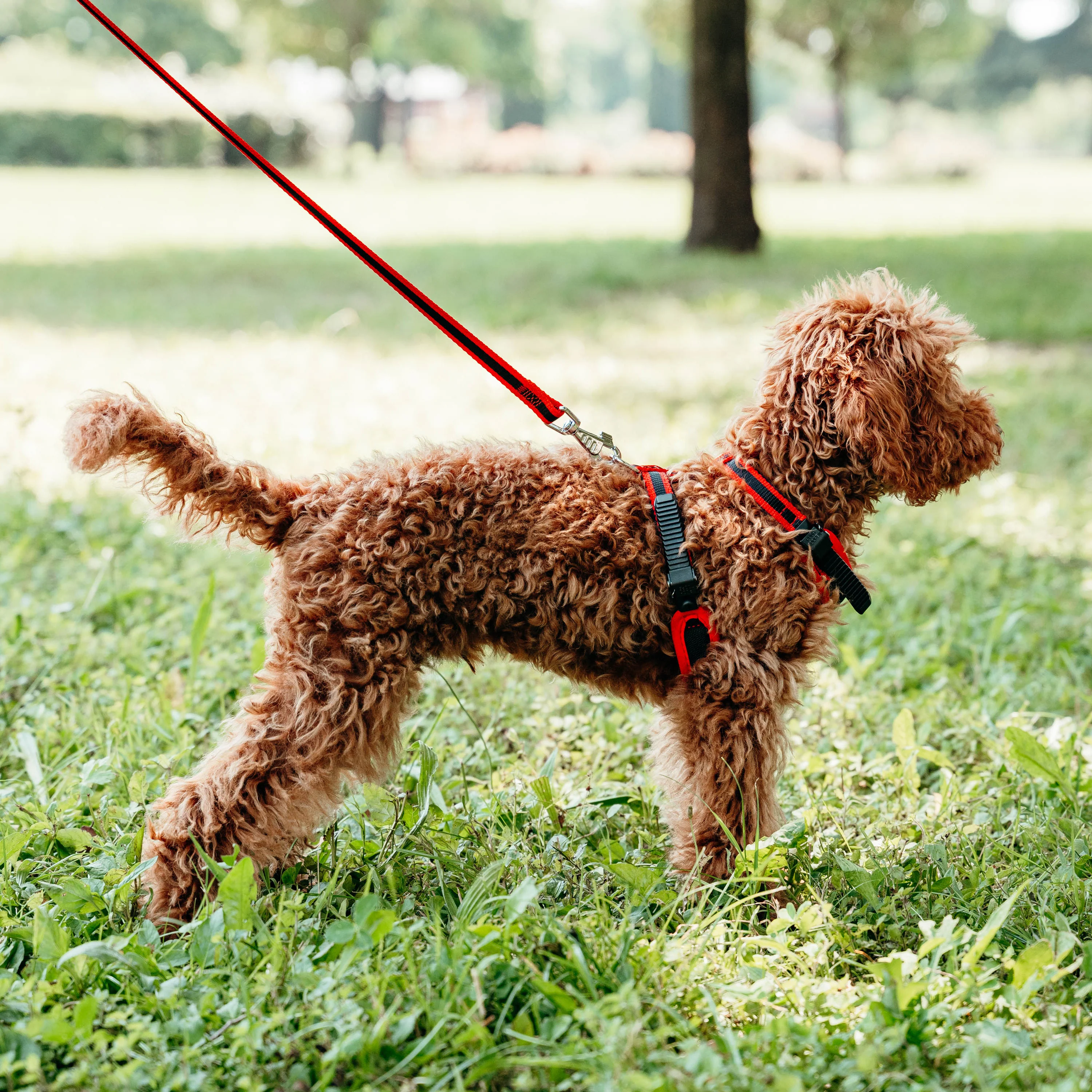 ERGOCOMFORT P - Image 10