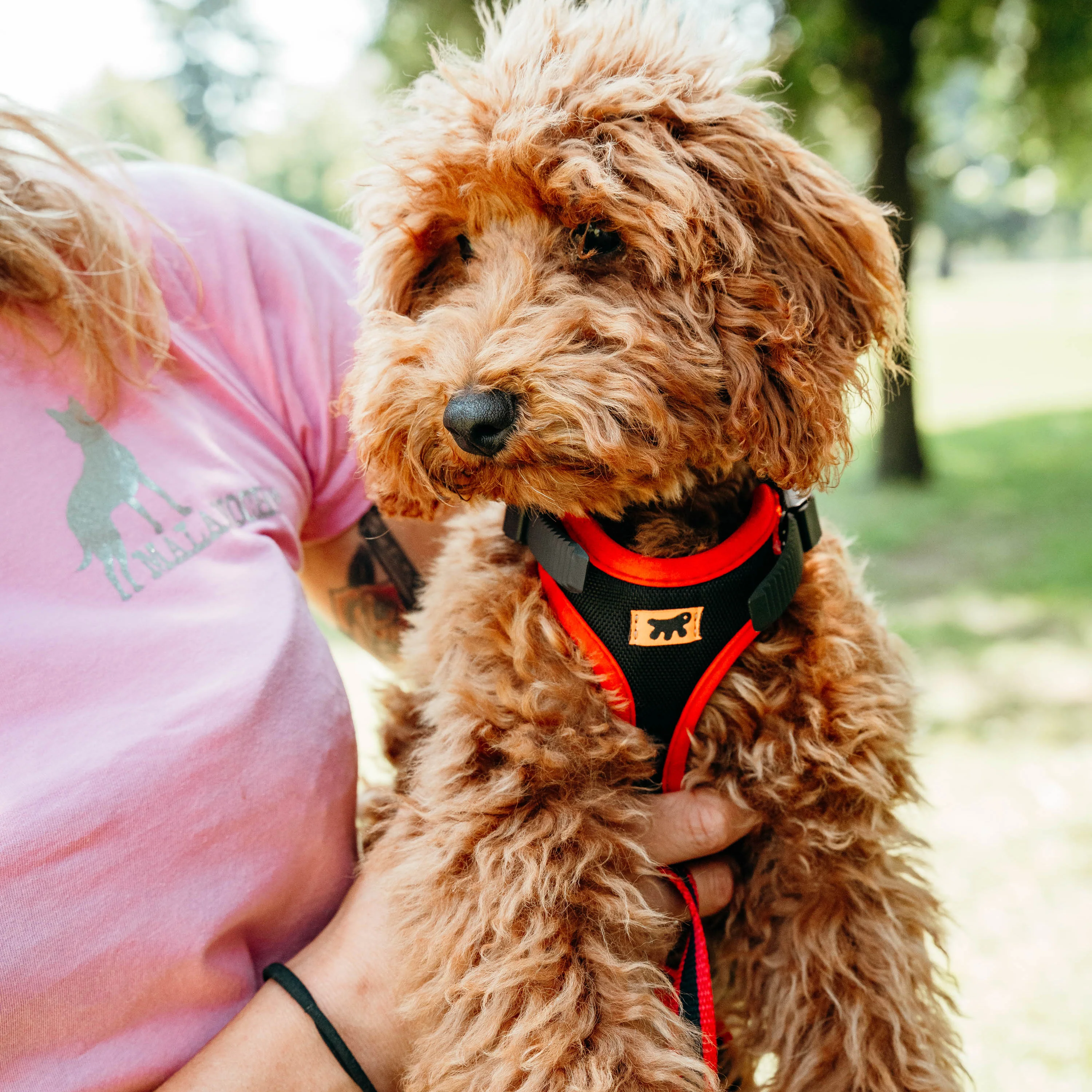 ERGOCOMFORT P - Image 11