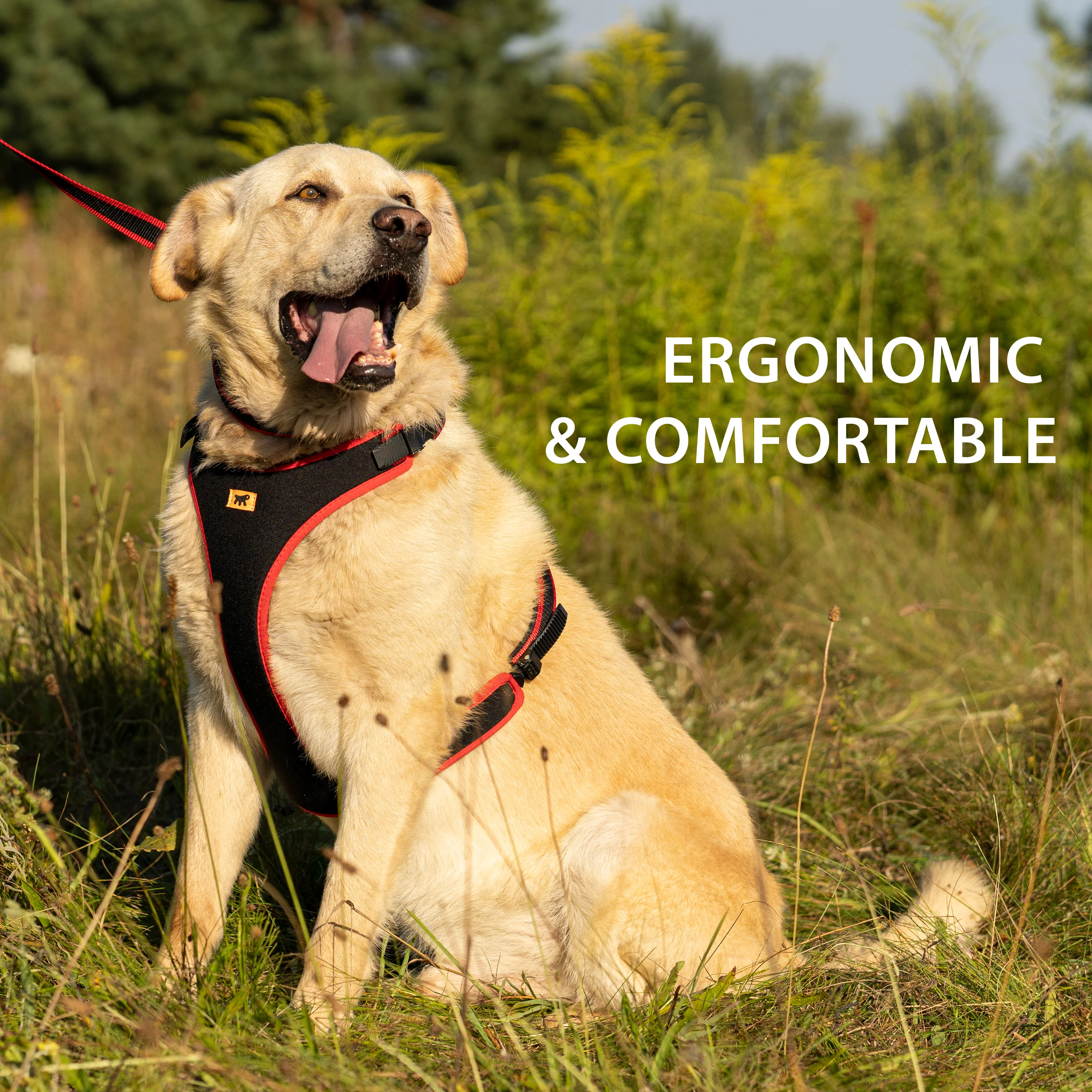 ERGOCOMFORT P - Image 12