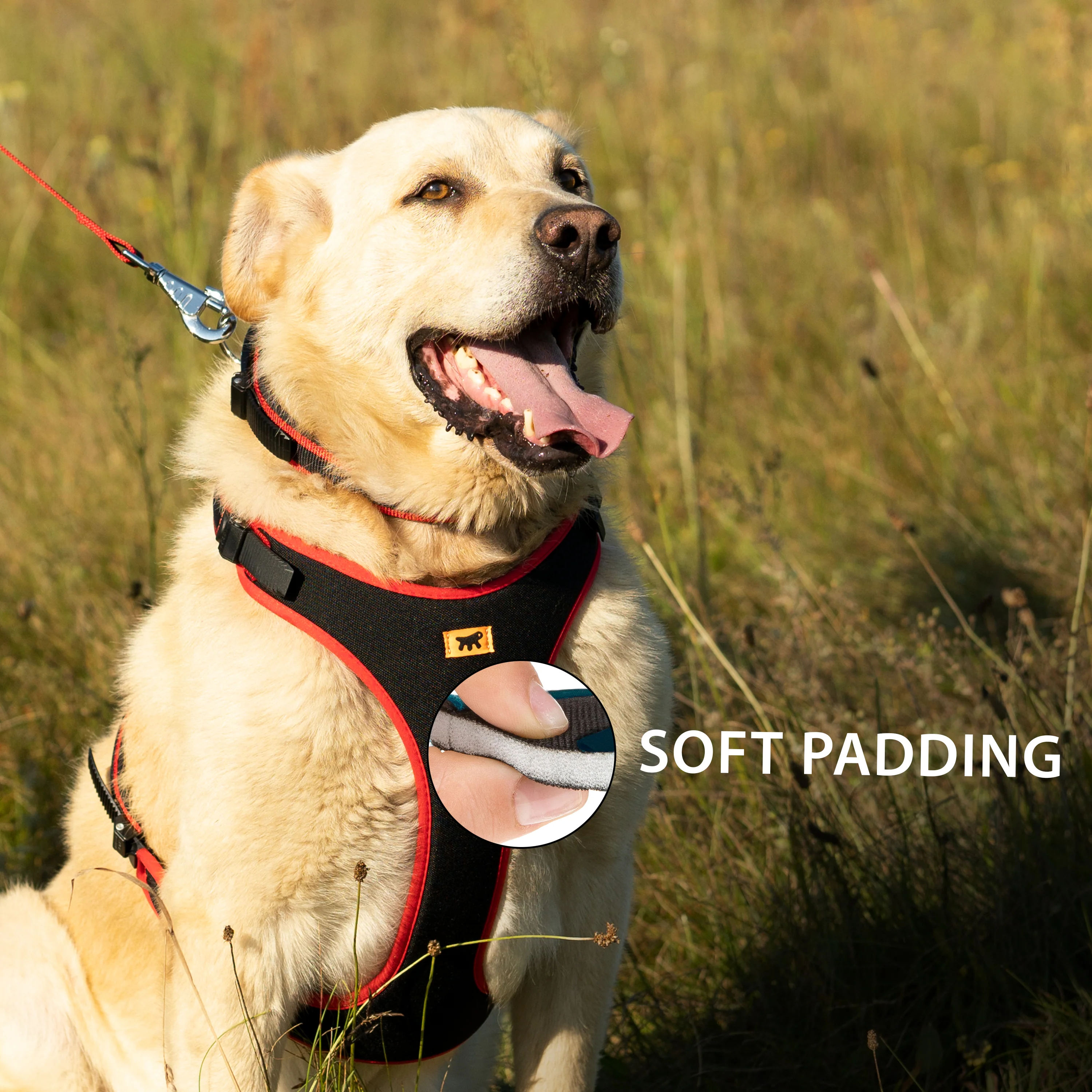 ERGOCOMFORT P - Image 14