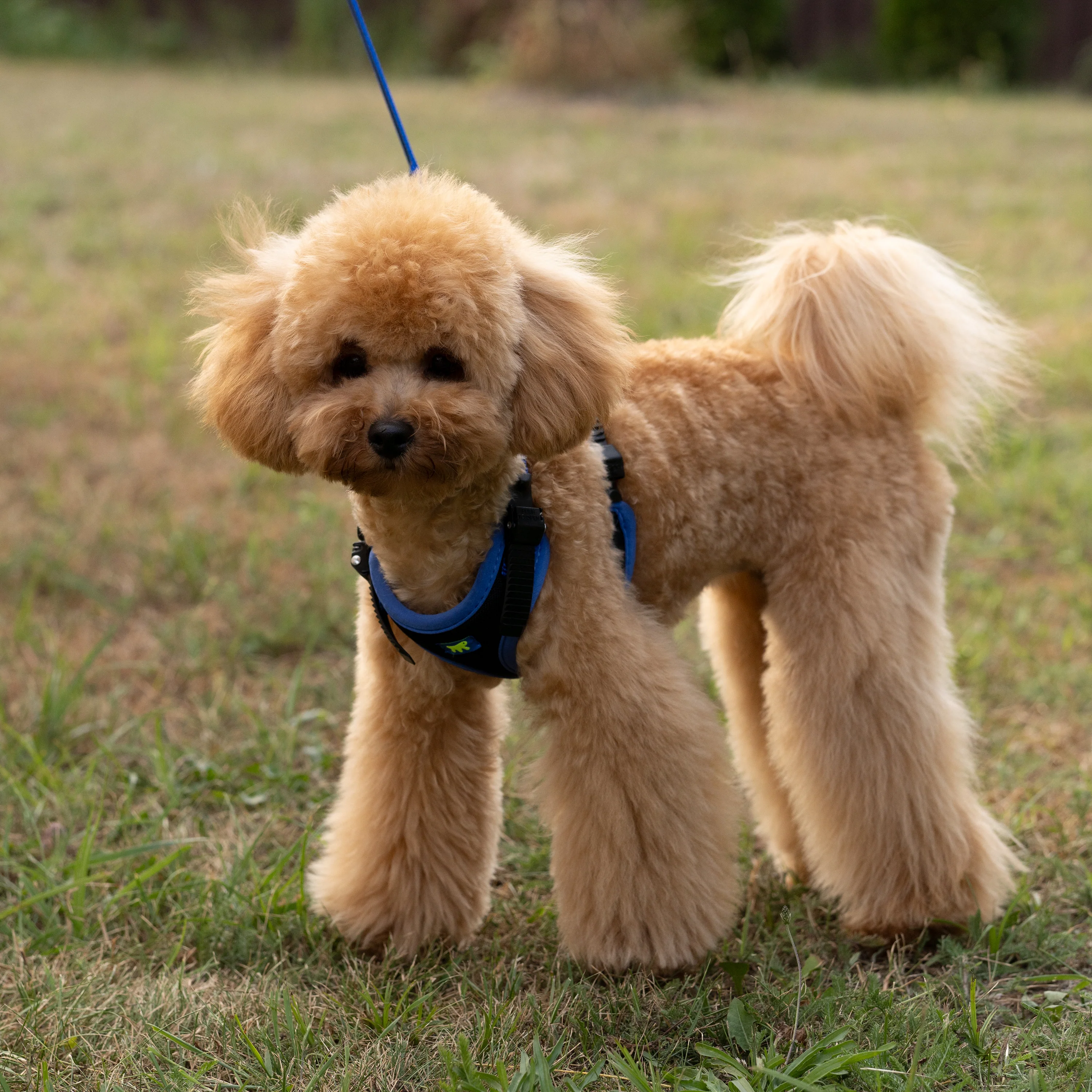 ERGOCOMFORT P - Image 16