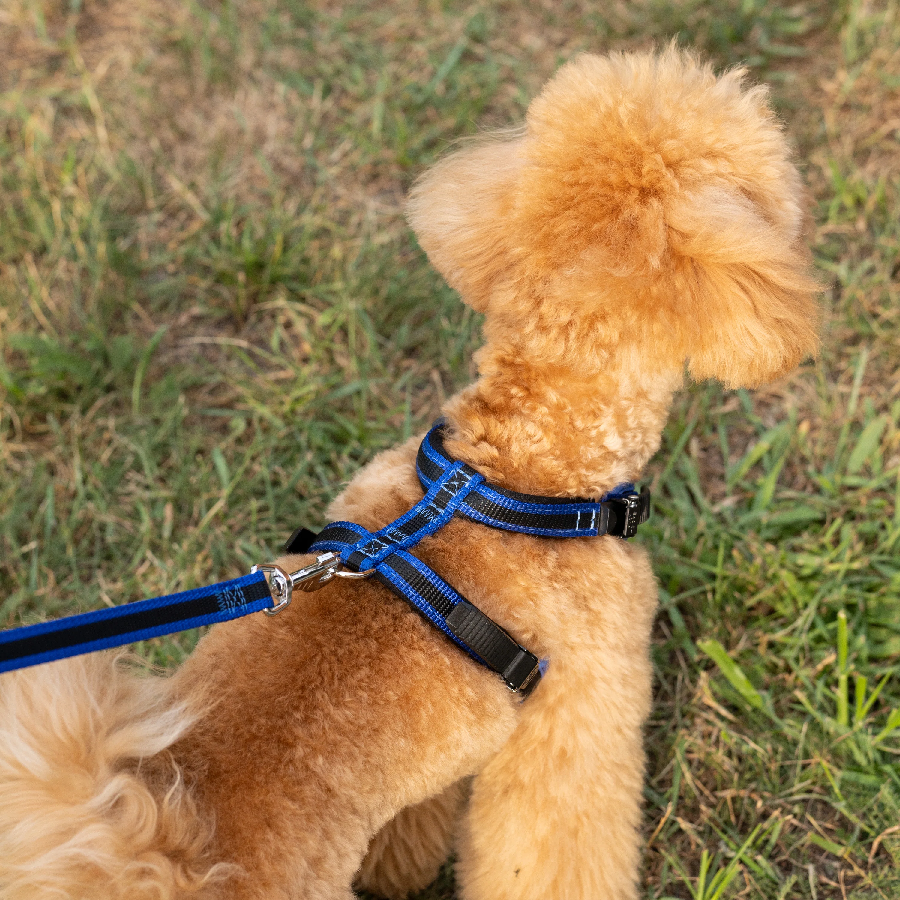 ERGOCOMFORT P - Image 17