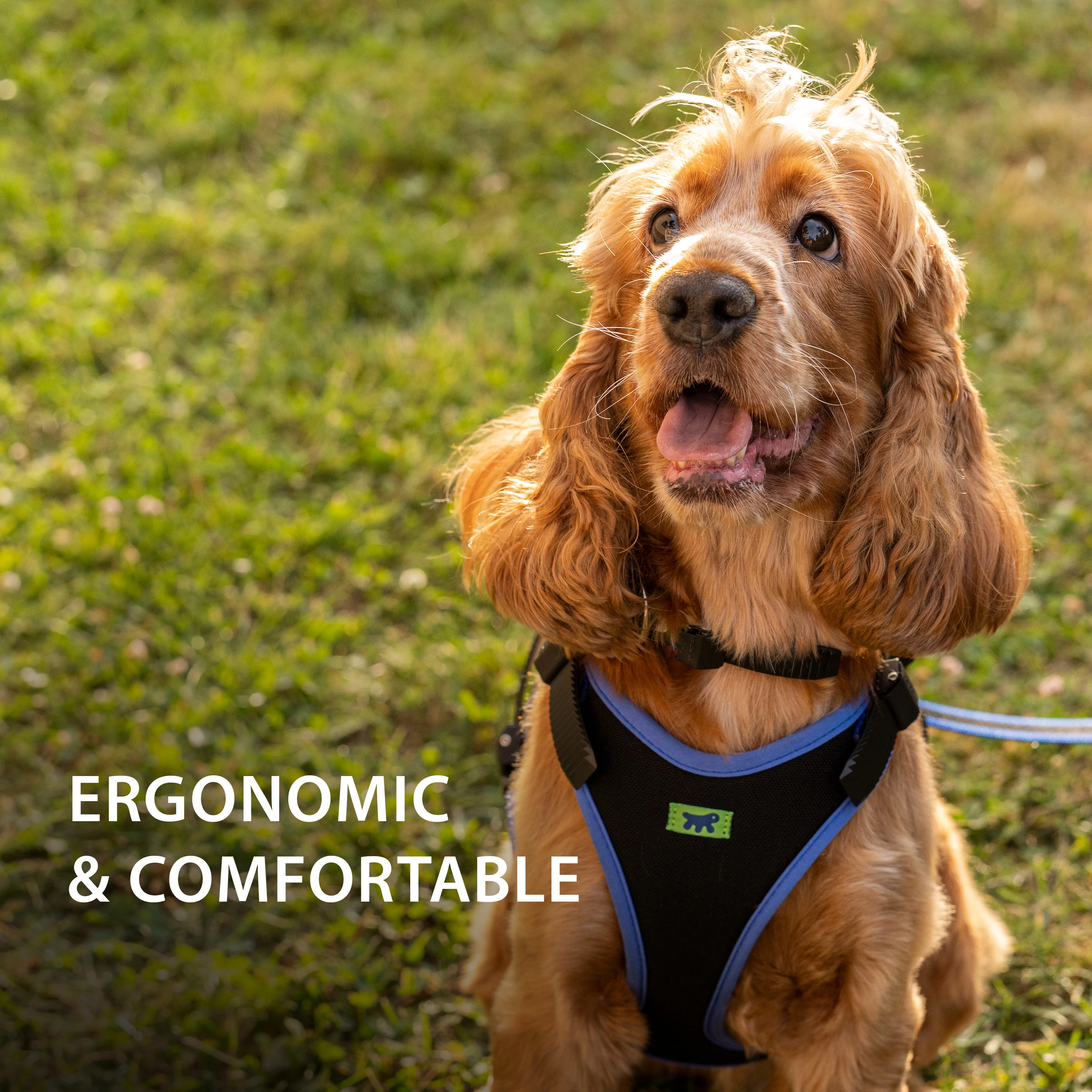 ERGOCOMFORT P - Image 20