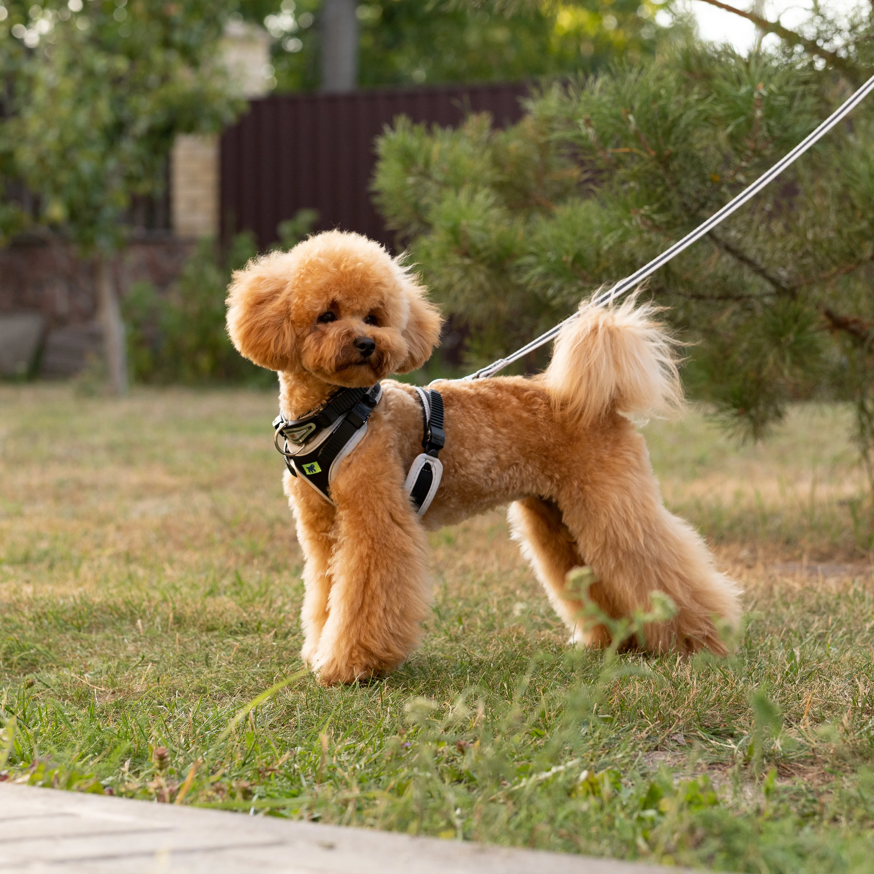 ERGOCOMFORT P - Image 23