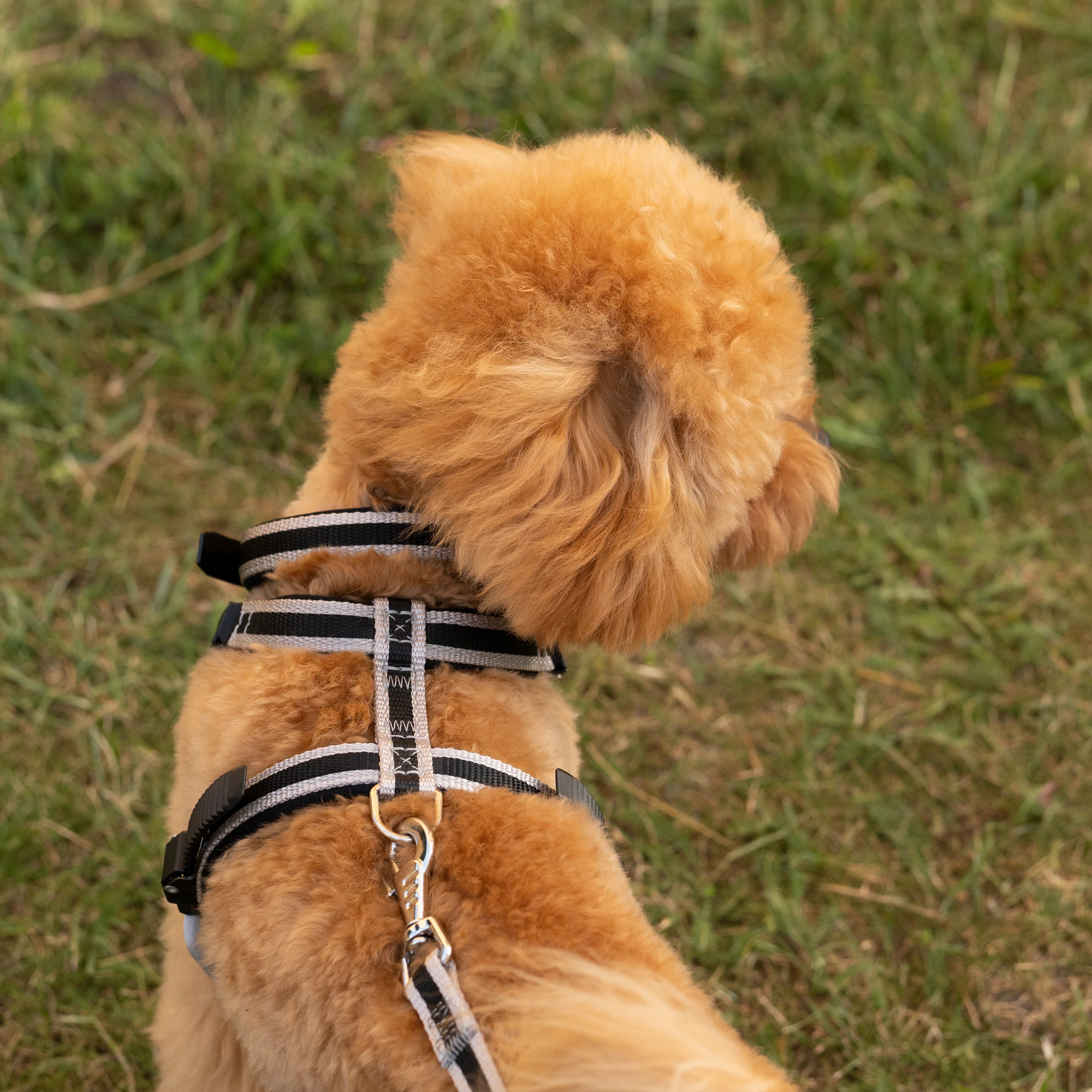 ERGOCOMFORT P - Image 24