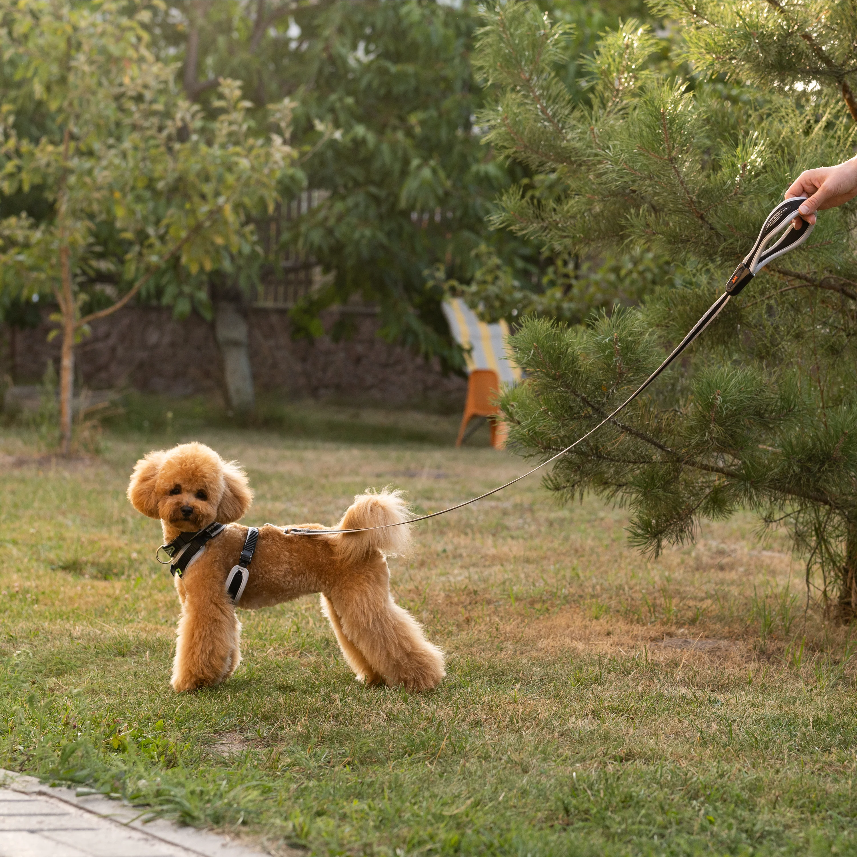 ERGOCOMFORT P - Image 28