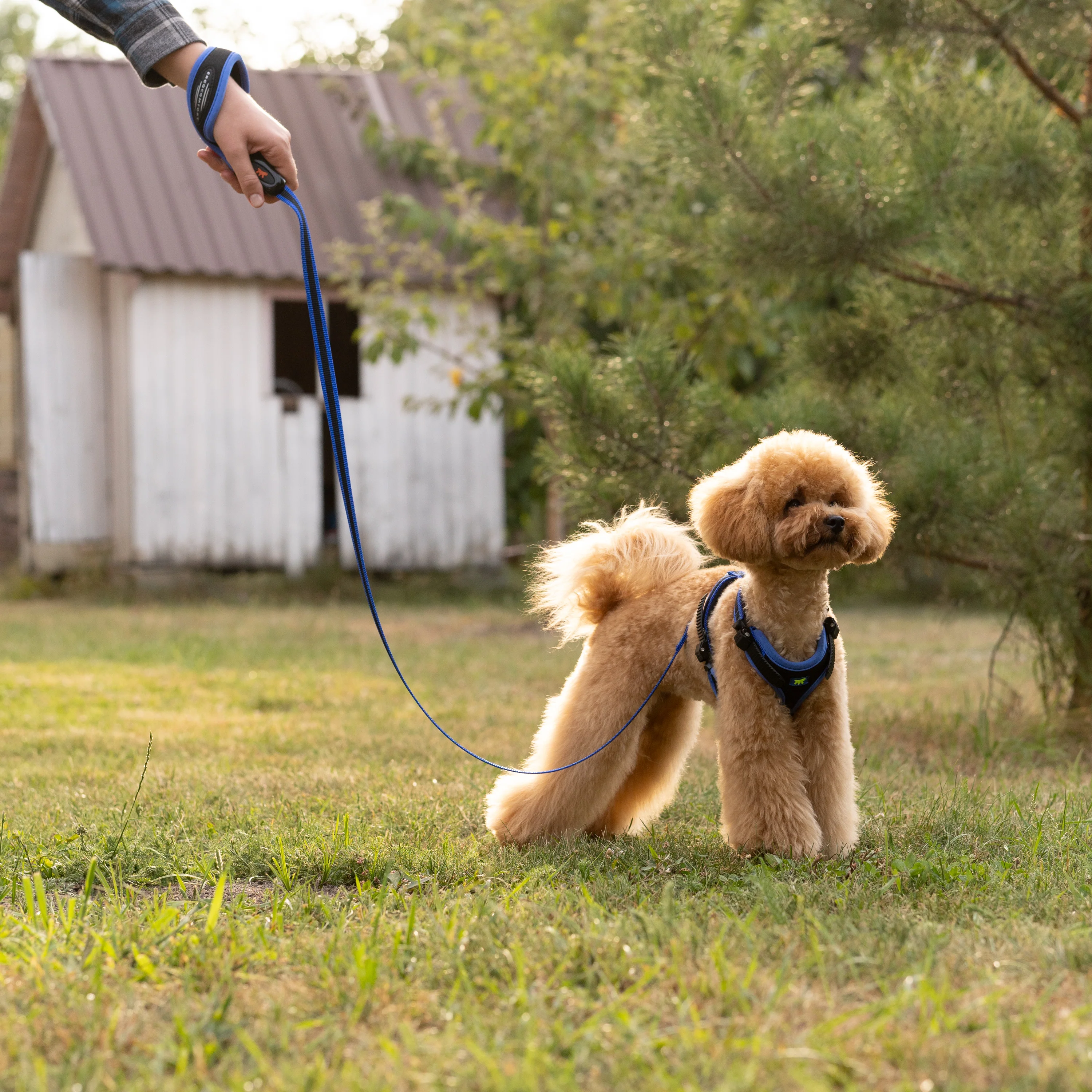 ERGOCOMFORT P - Image 3