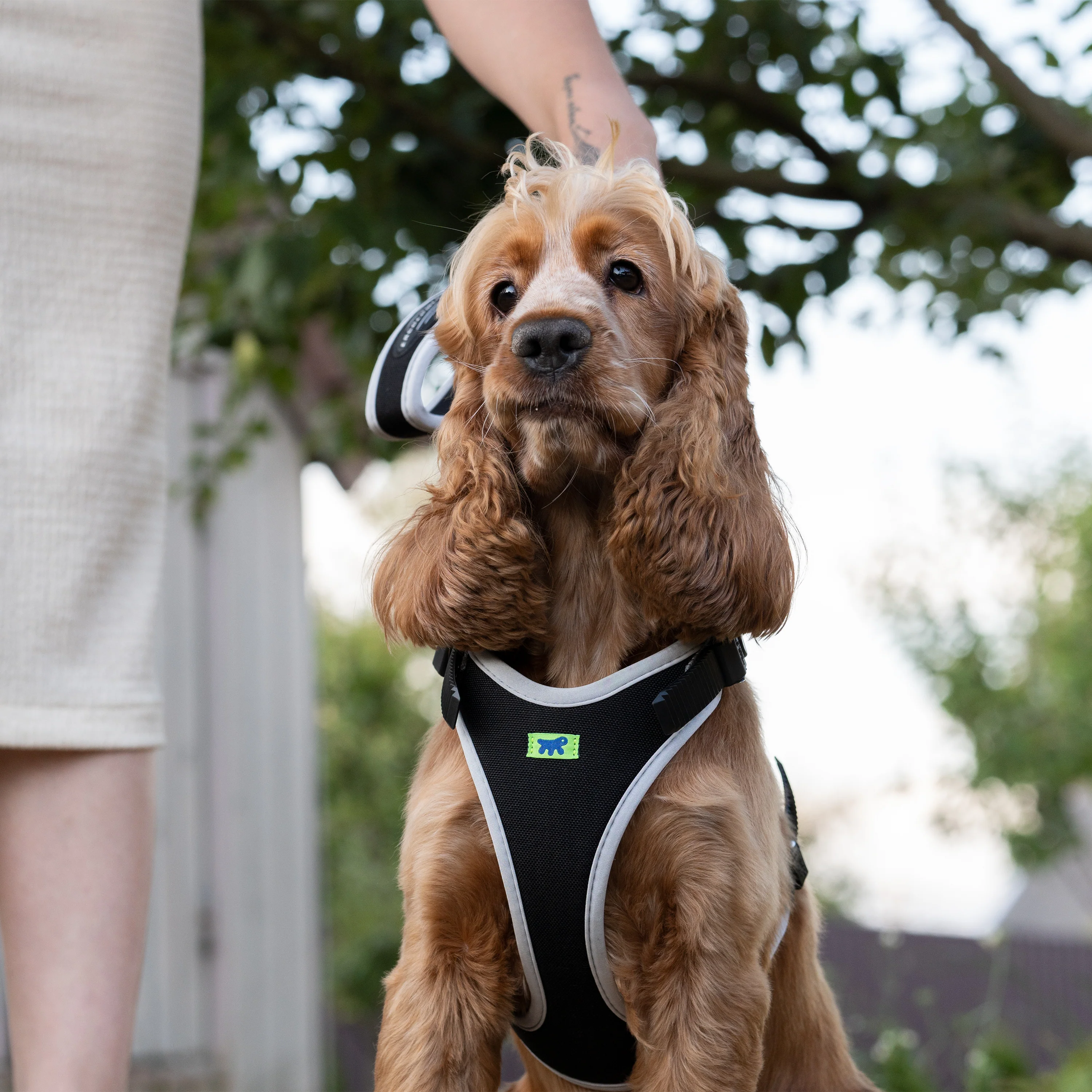 ERGOCOMFORT P - Image 36