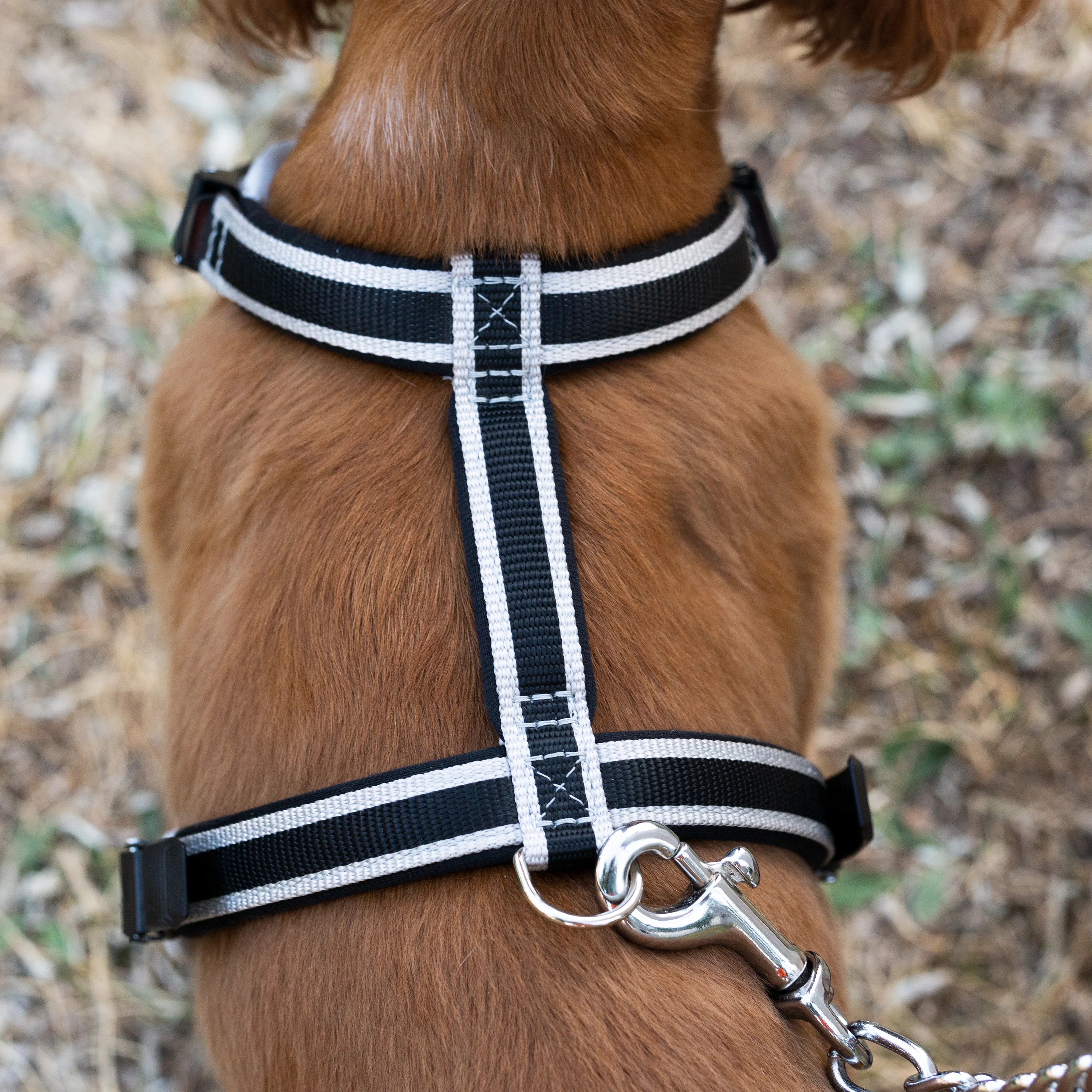 ERGOCOMFORT P - Image 37