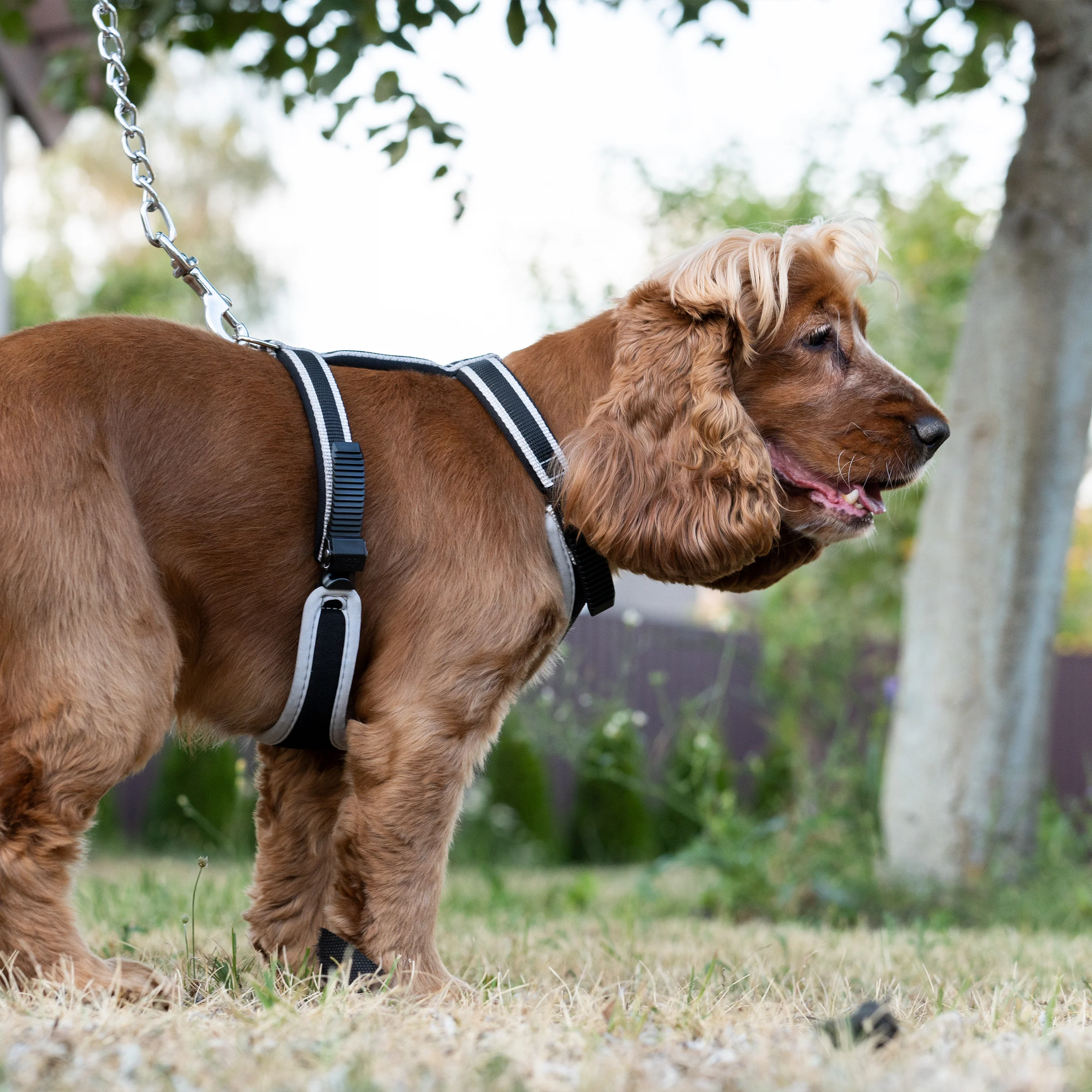 ERGOCOMFORT P - Image 38