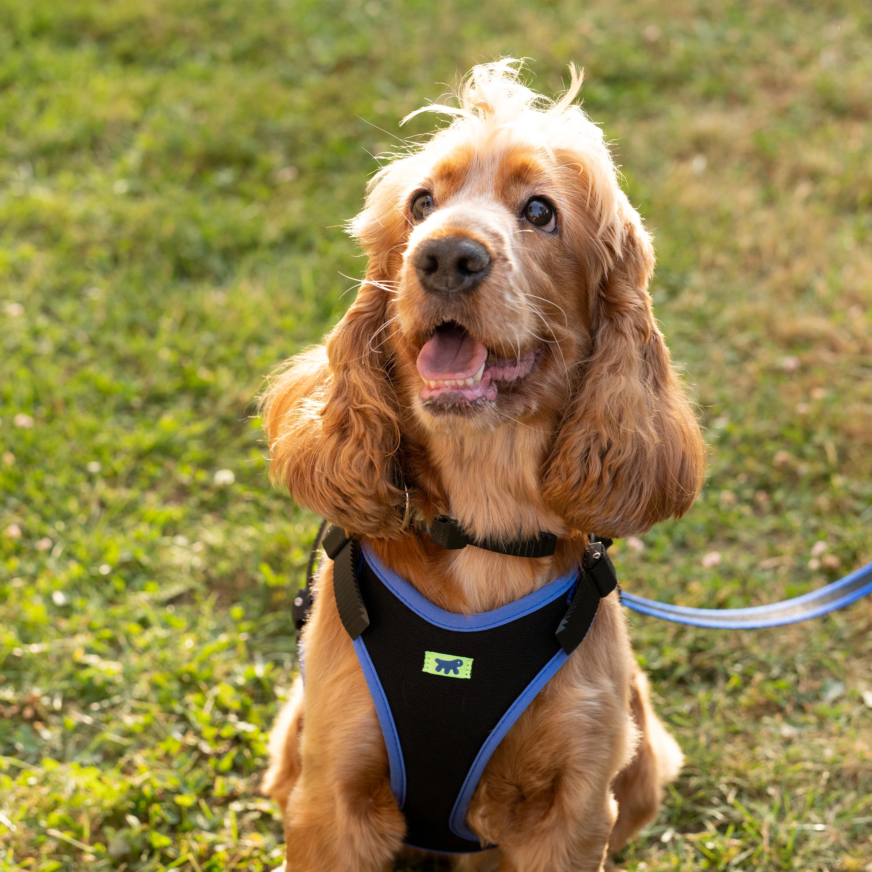 ERGOCOMFORT P - Image 41