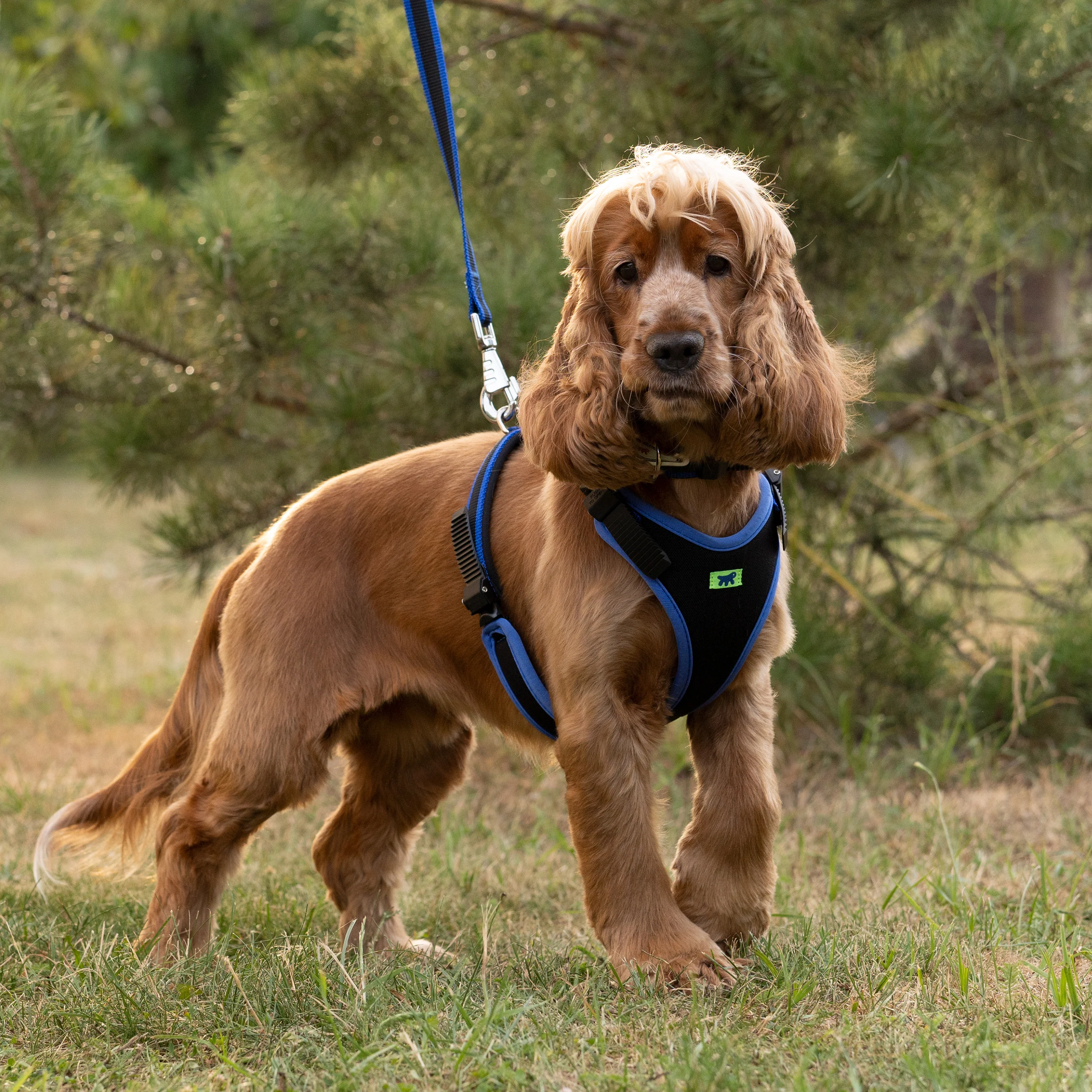 ERGOCOMFORT P - Image 43