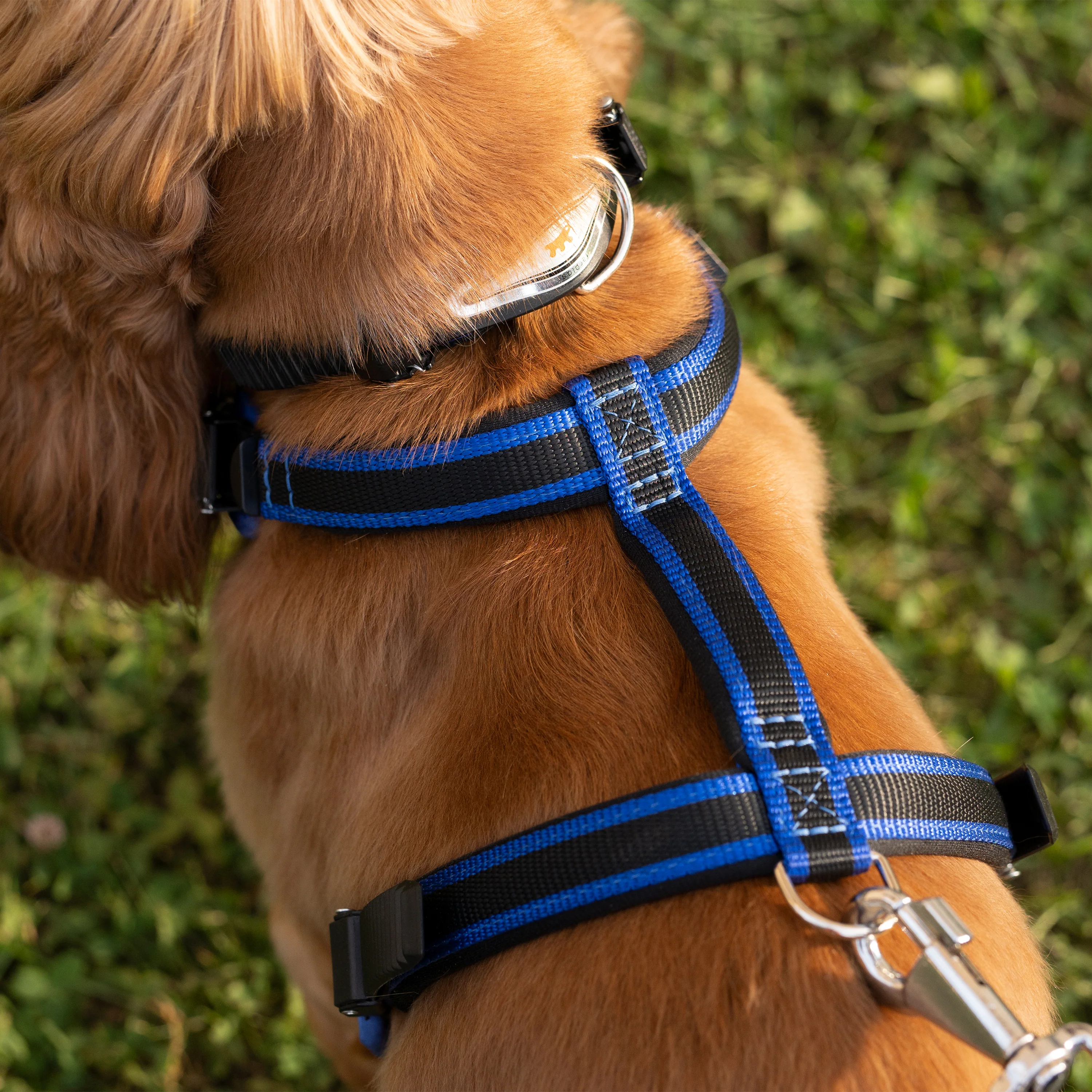 ERGOCOMFORT P - Image 44