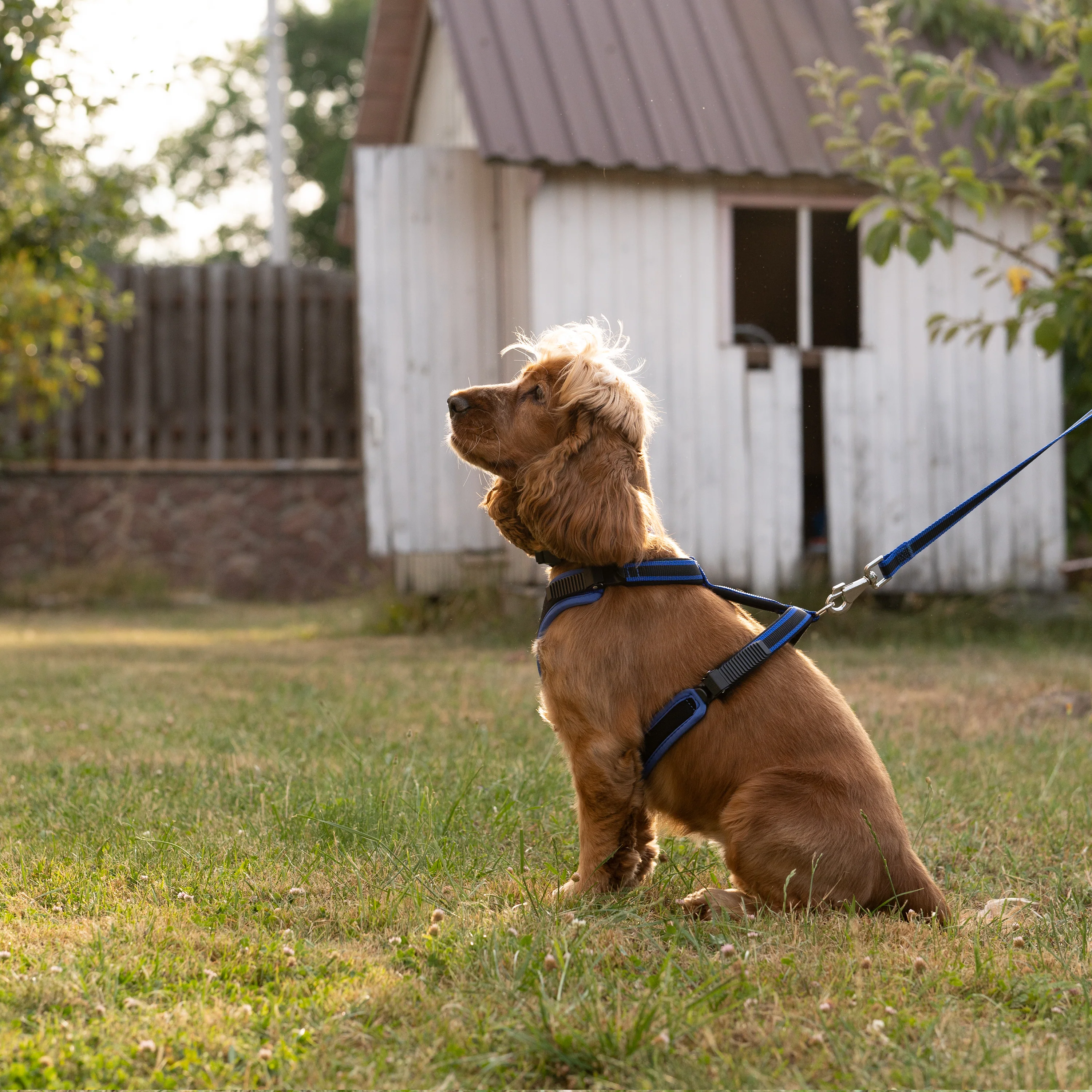 ERGOCOMFORT P - Image 45