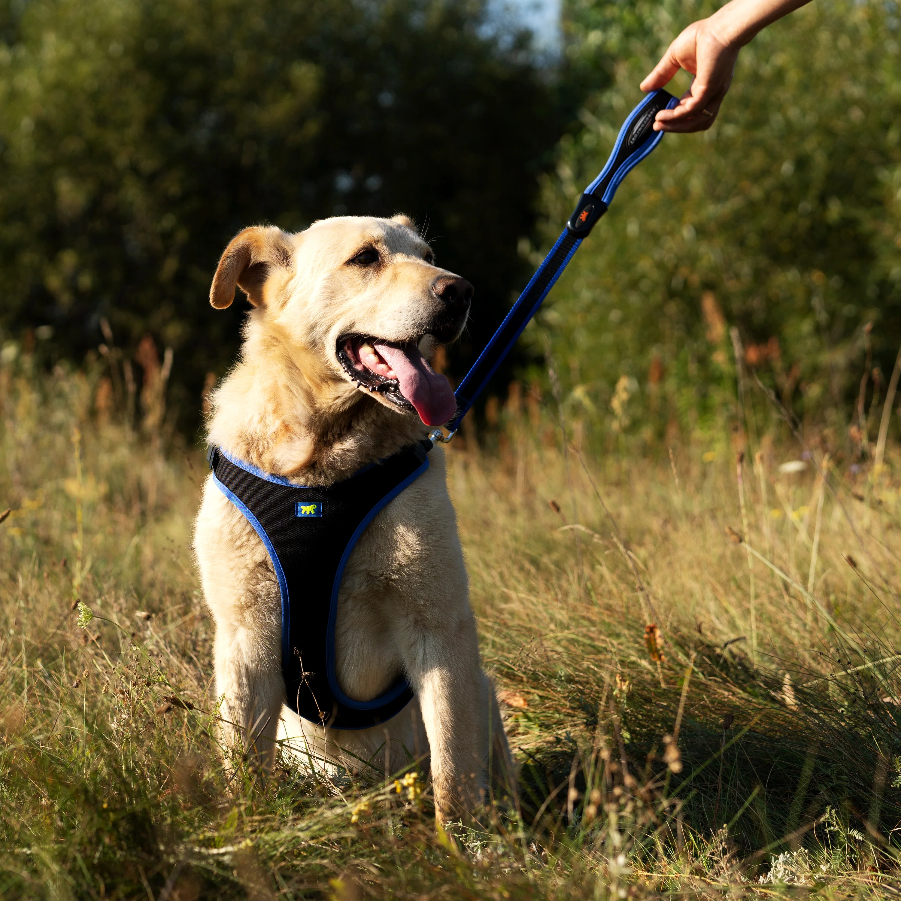 ERGOCOMFORT P - Image 49