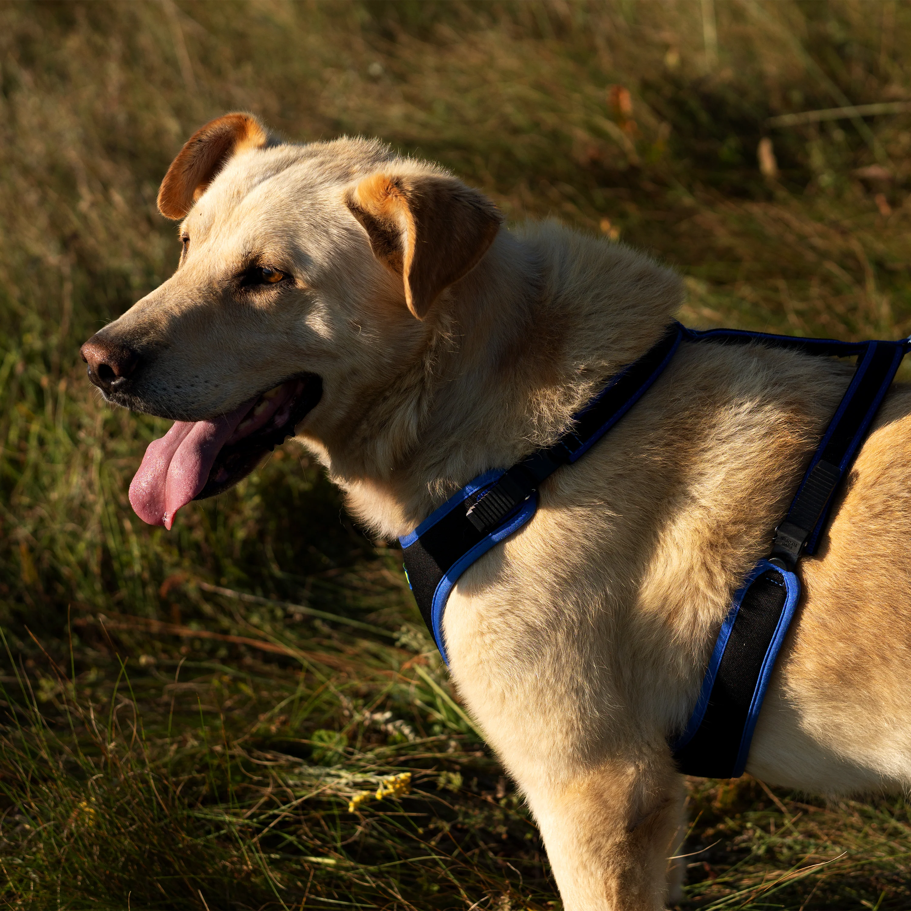 ERGOCOMFORT P - Image 50