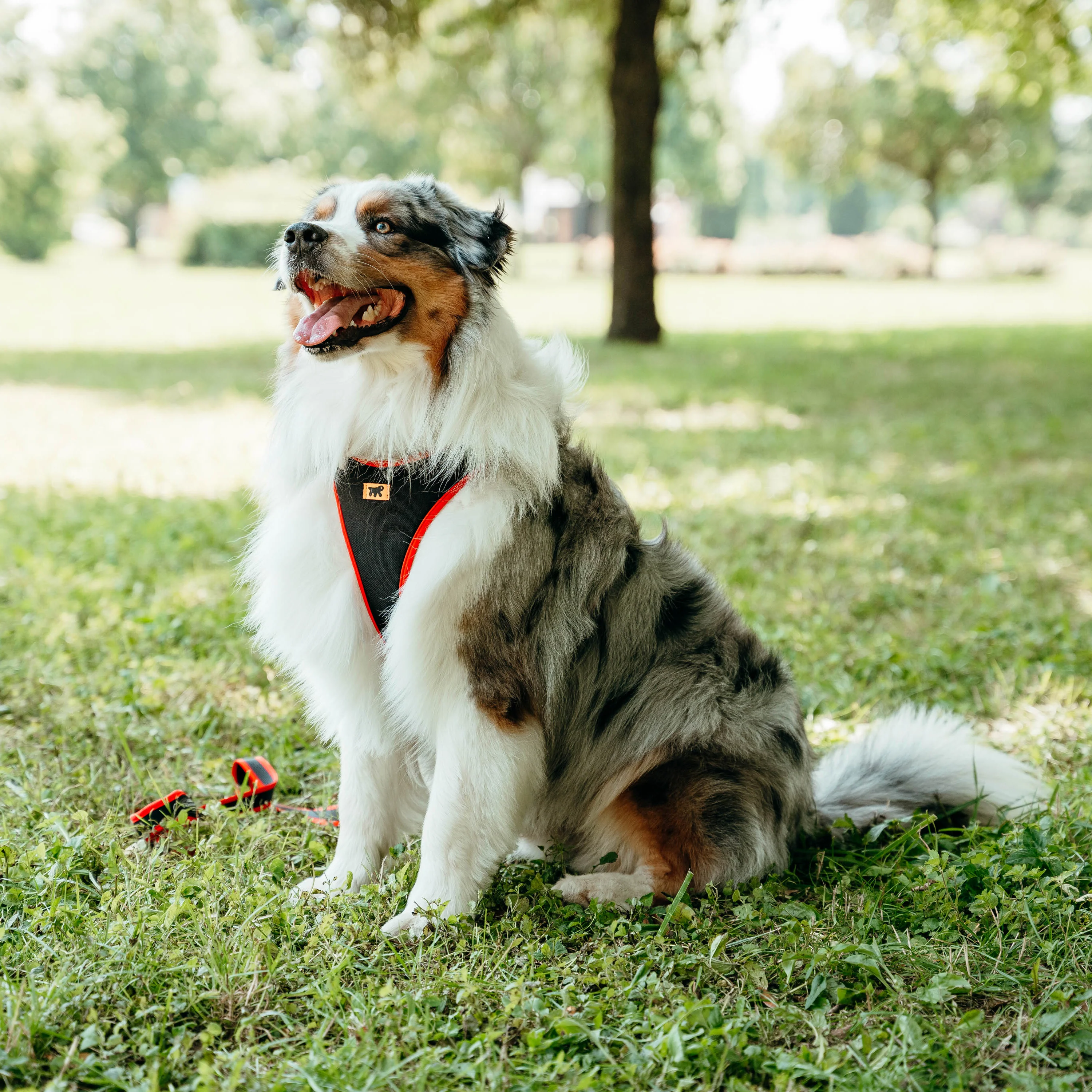 ERGOCOMFORT P - Image 51