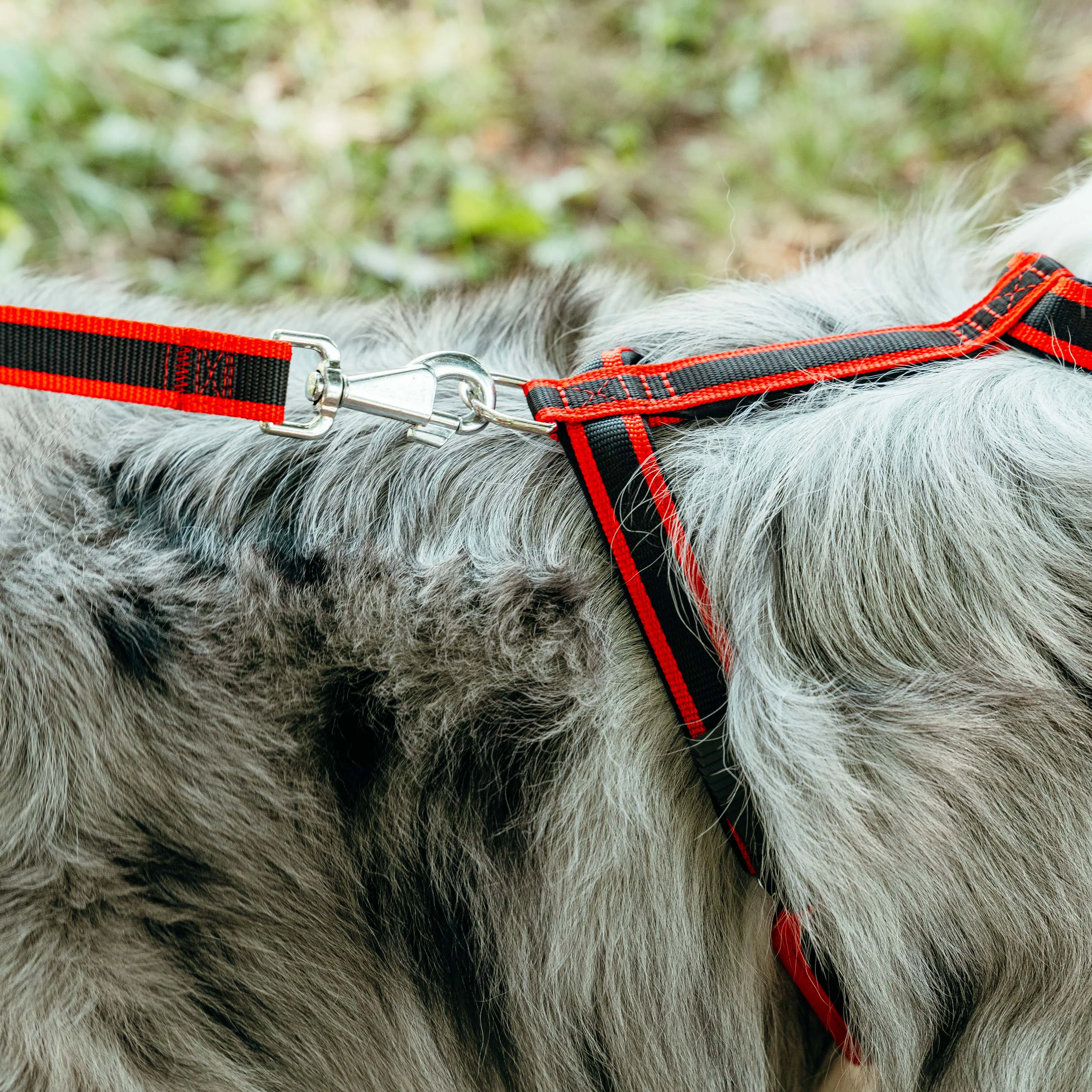 ERGOCOMFORT P - Image 52