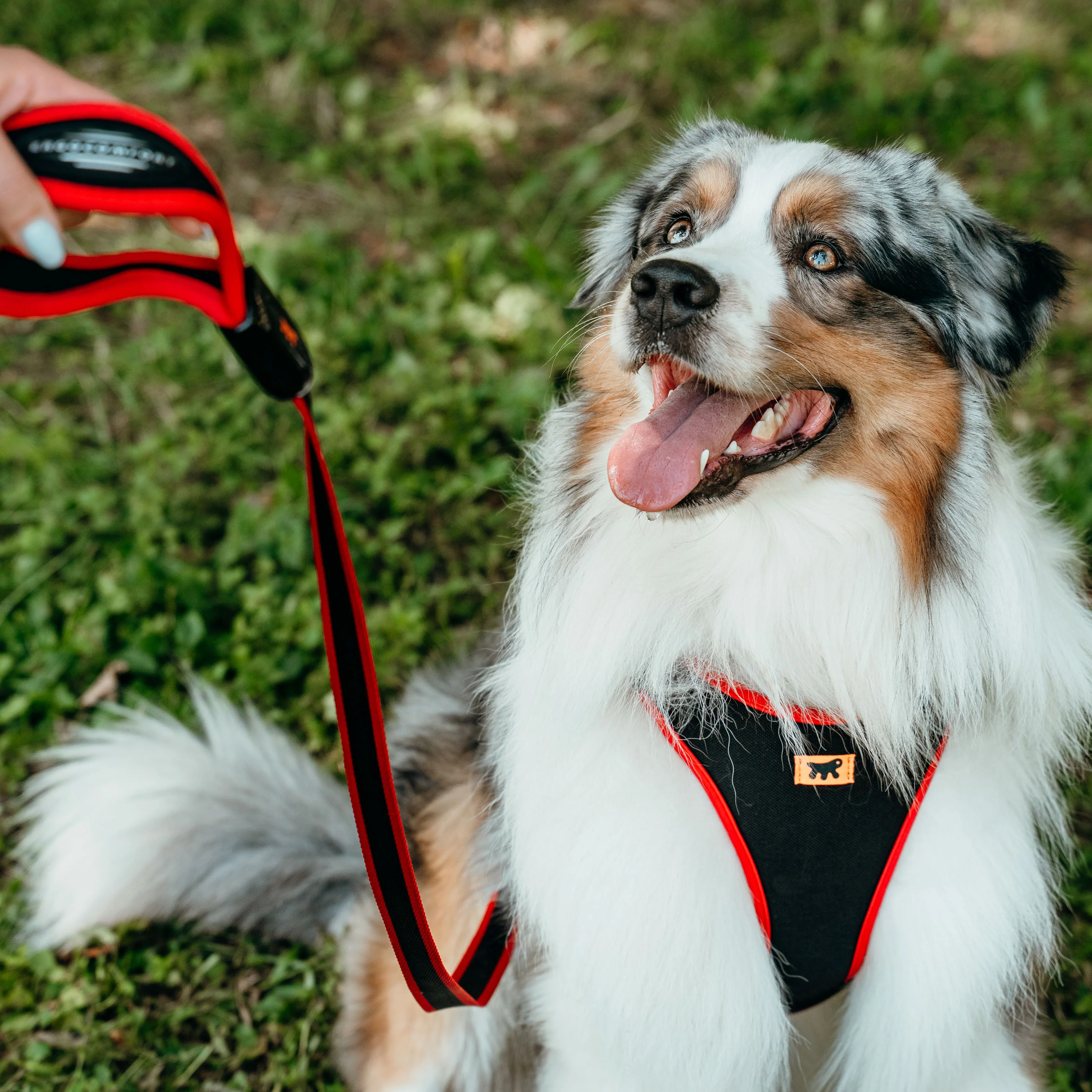 ERGOCOMFORT P - Image 53