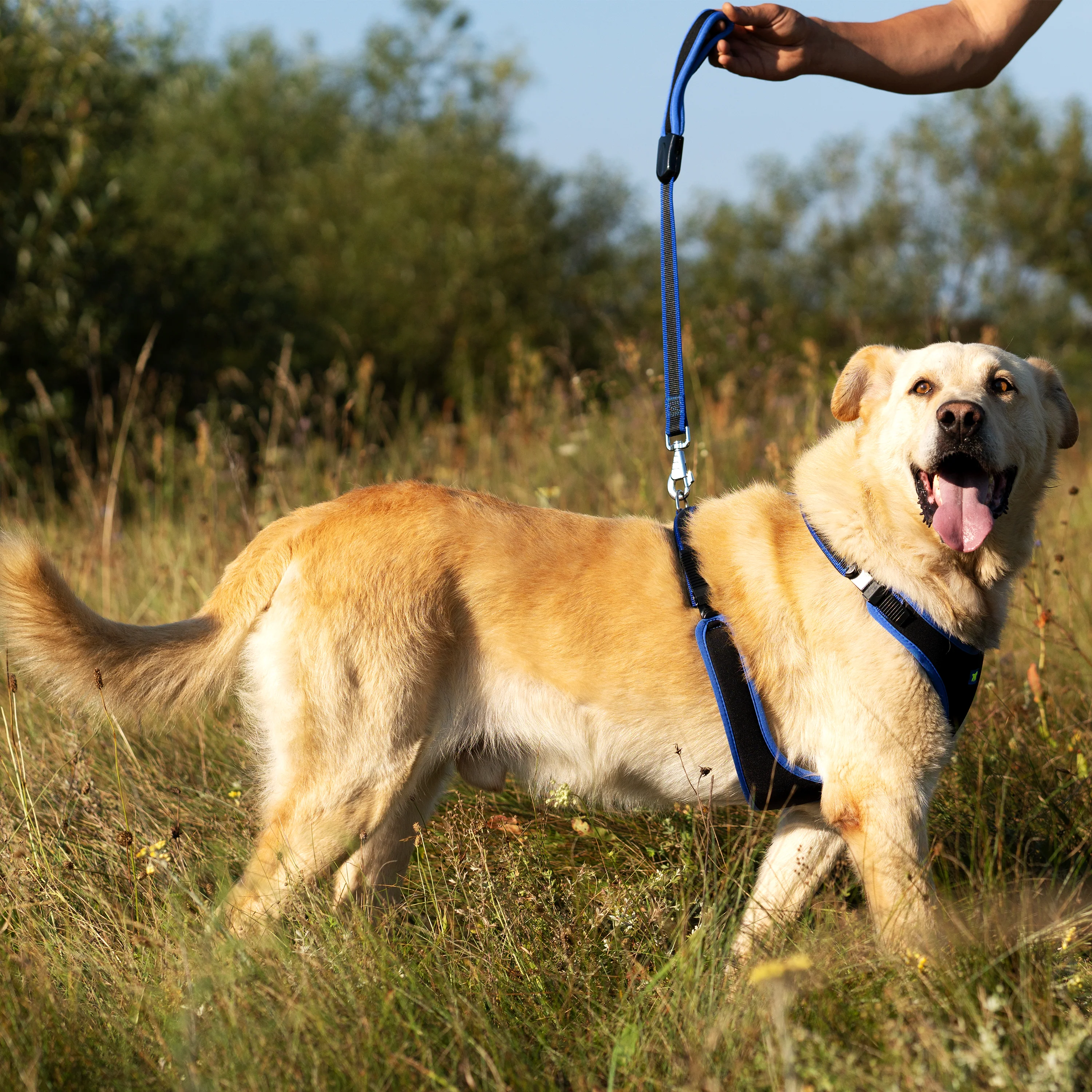 ERGOCOMFORT P - Image 57