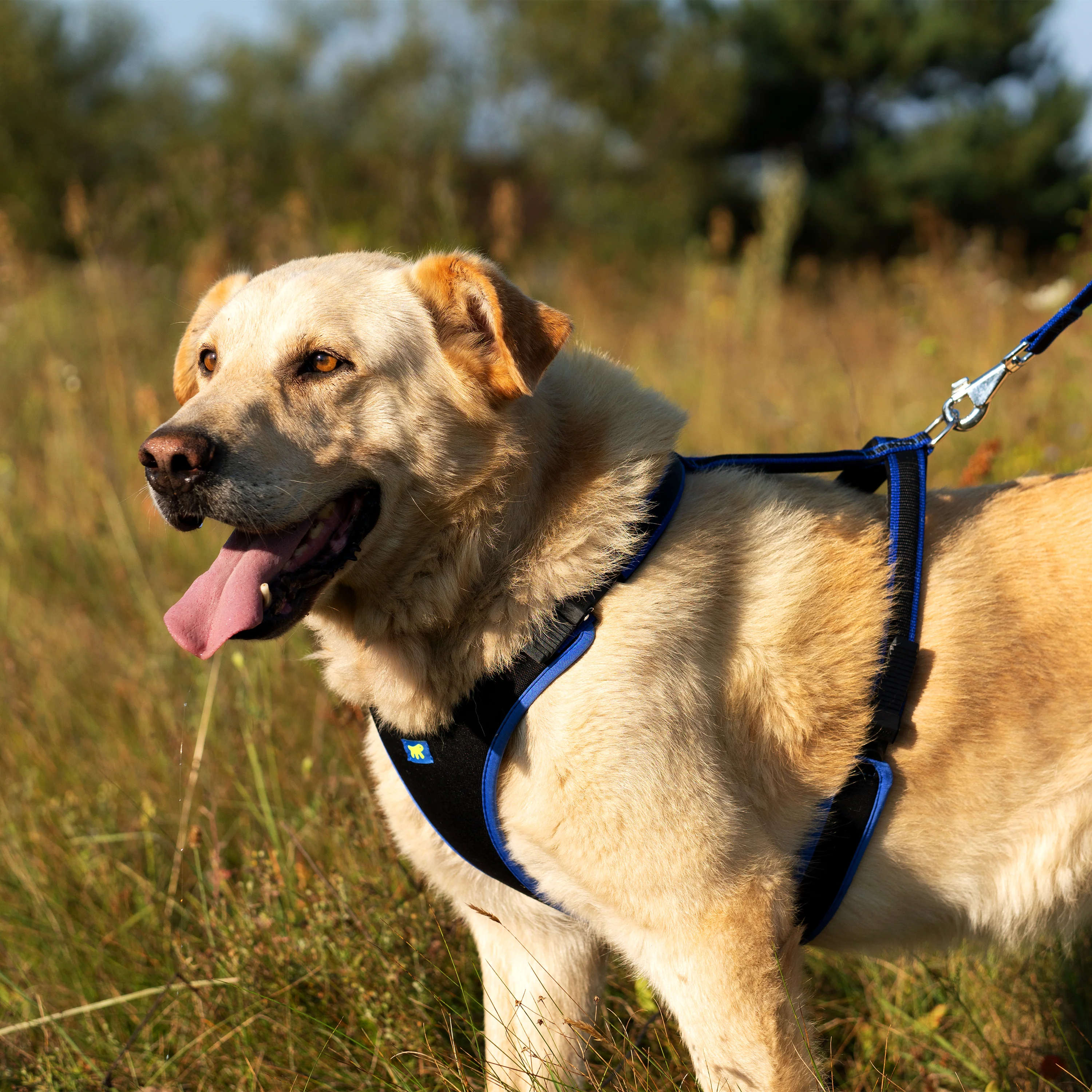 ERGOCOMFORT P - Image 59