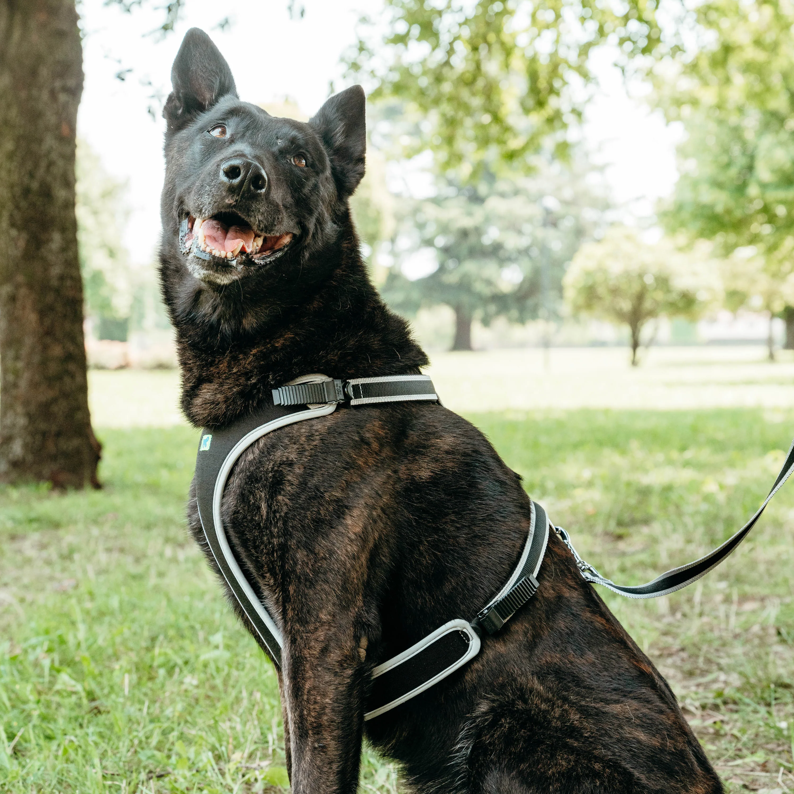 ERGOCOMFORT P - Image 60