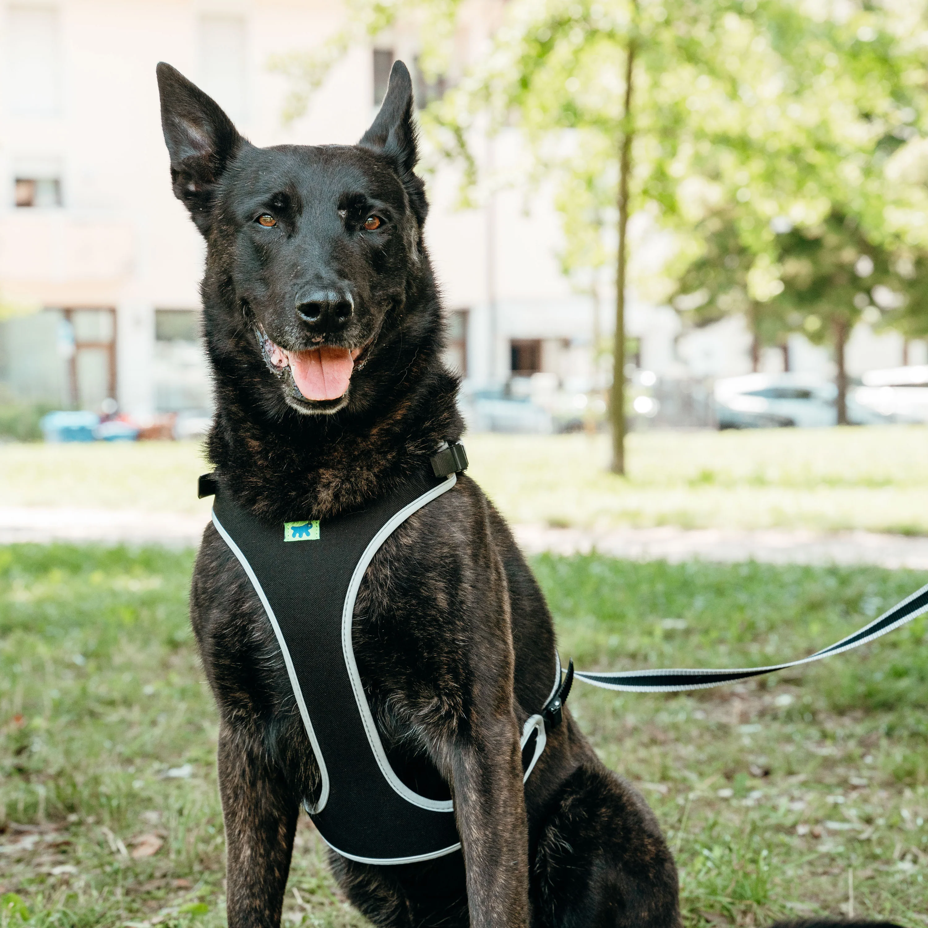 ERGOCOMFORT P - Image 61