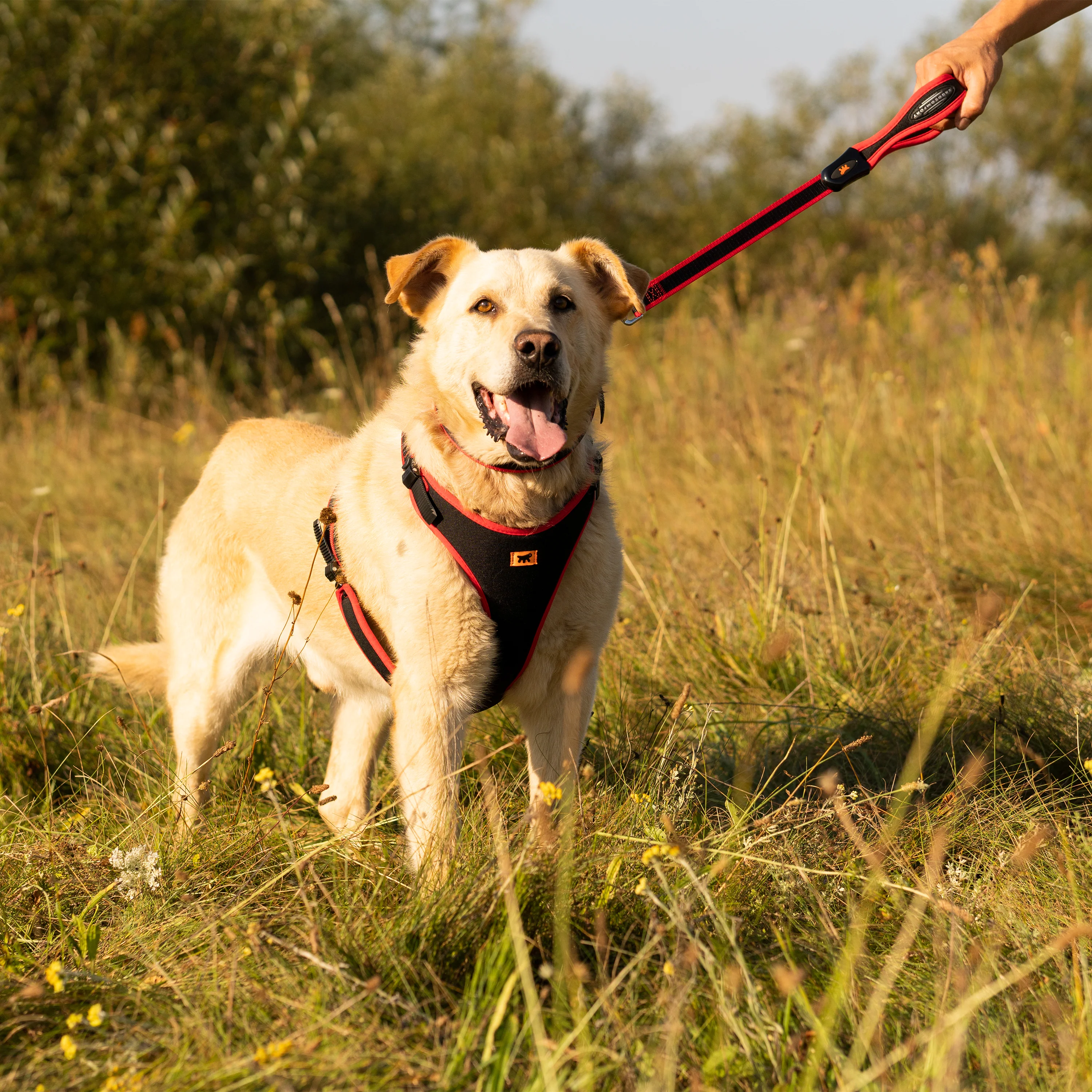 ERGOCOMFORT P - Image 66