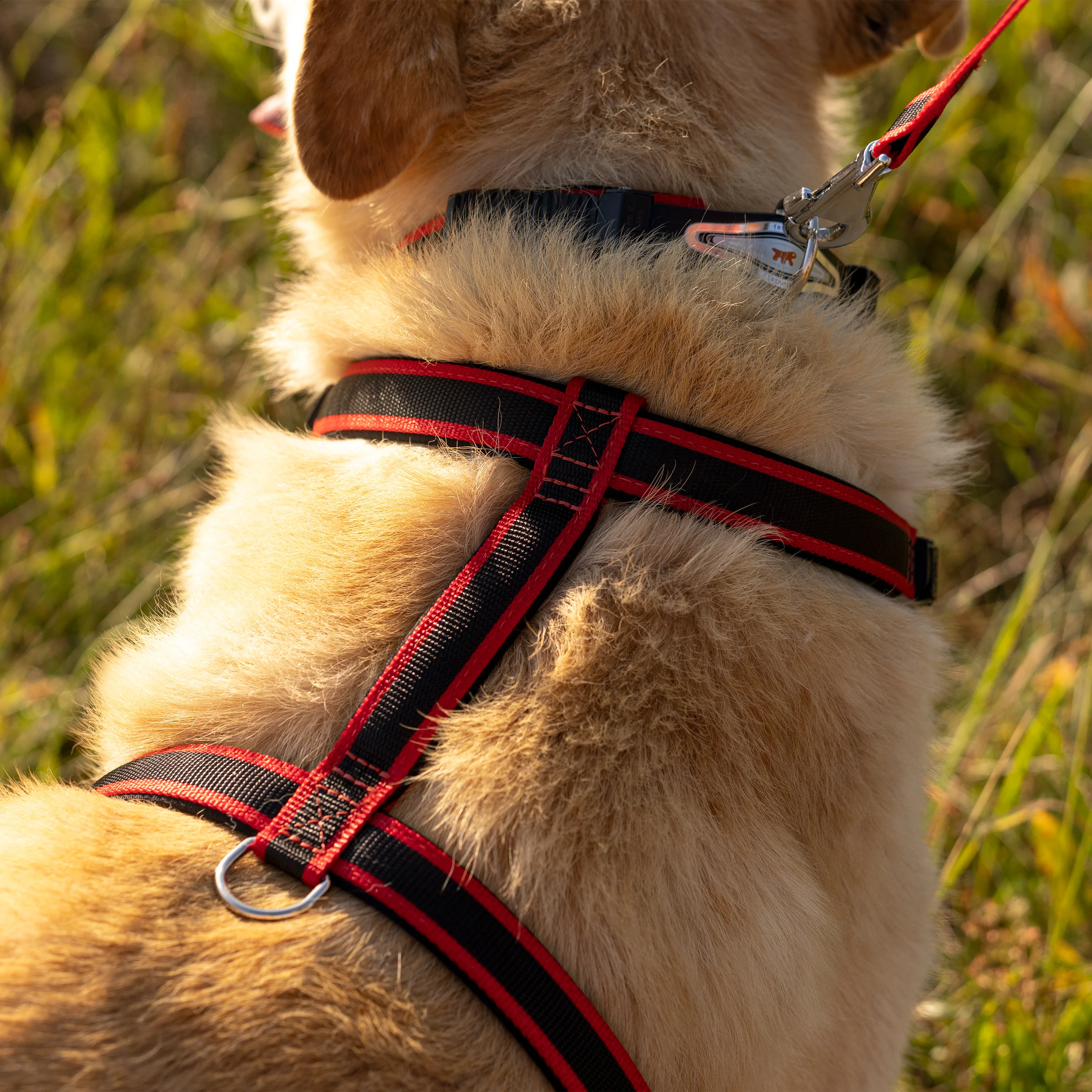 ERGOCOMFORT P - Image 67