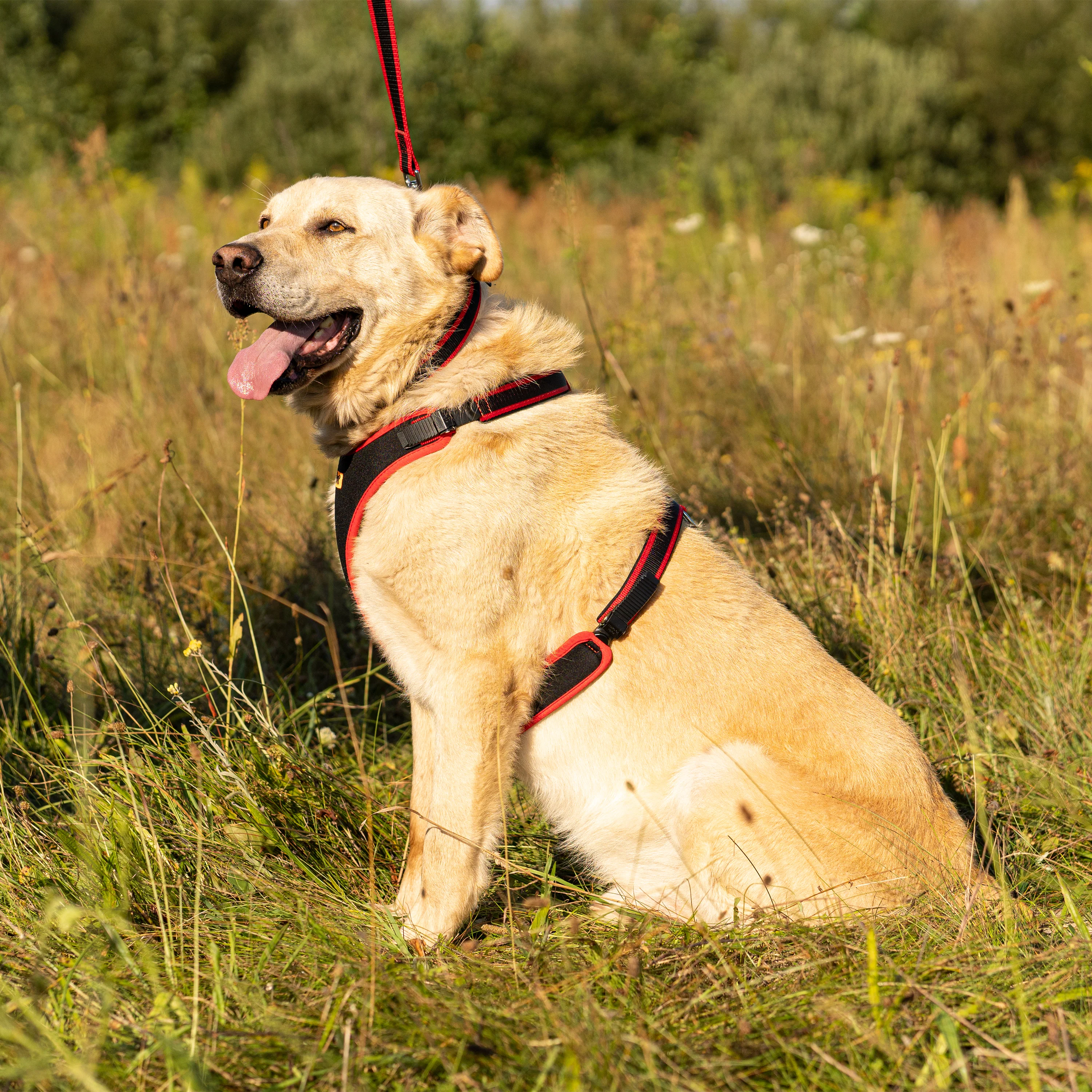 ERGOCOMFORT P - Image 68