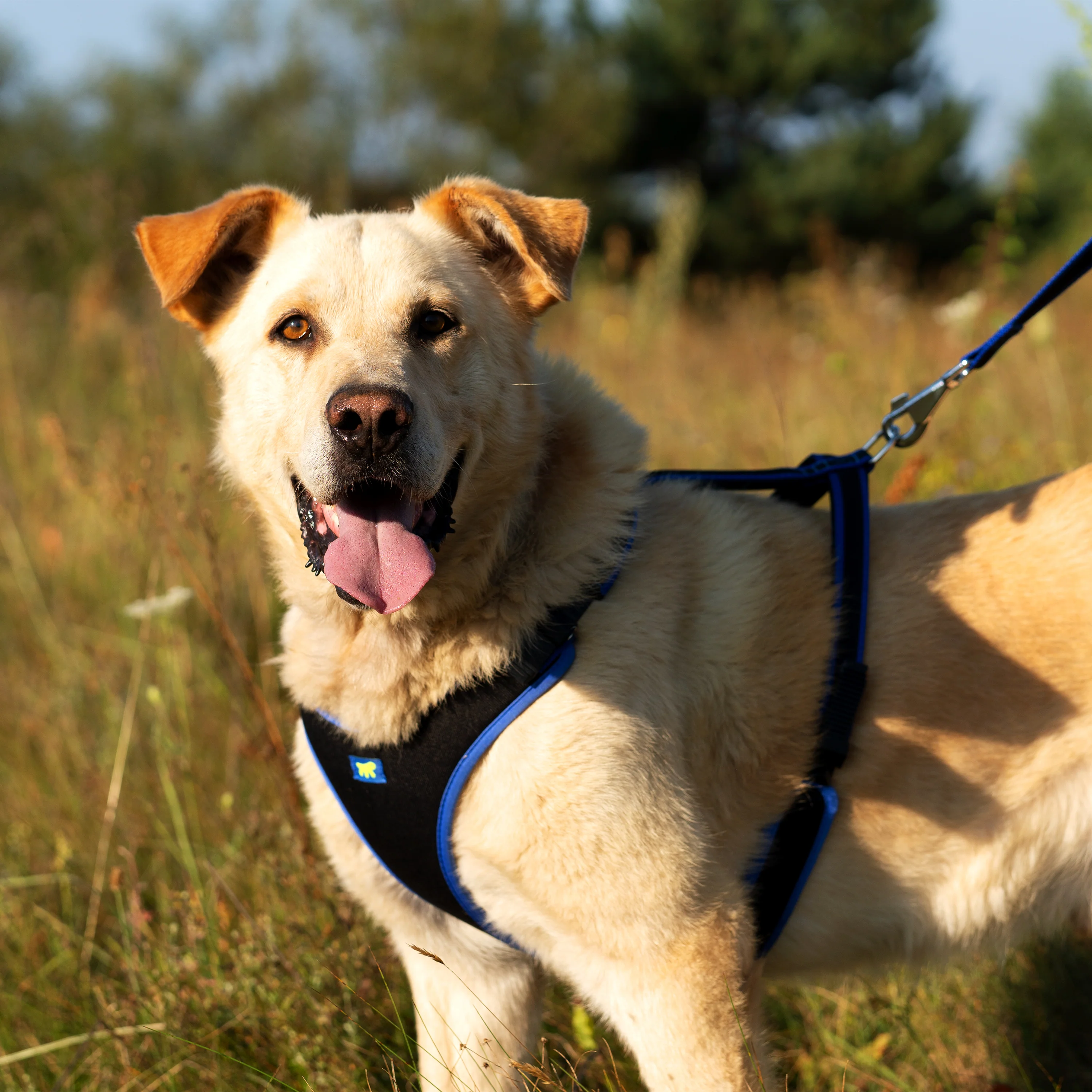 ERGOCOMFORT P - Image 69