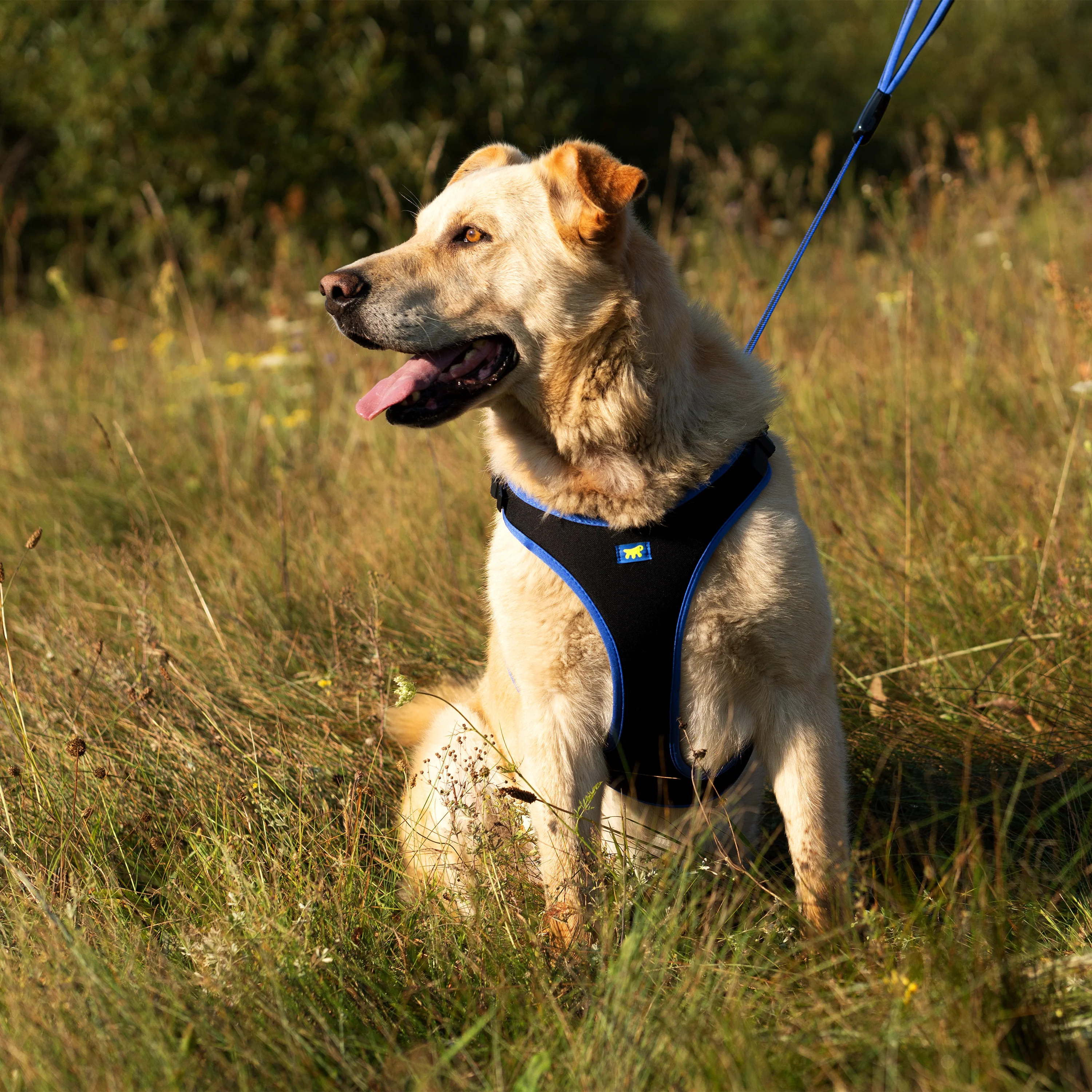 ERGOCOMFORT P - Image 70