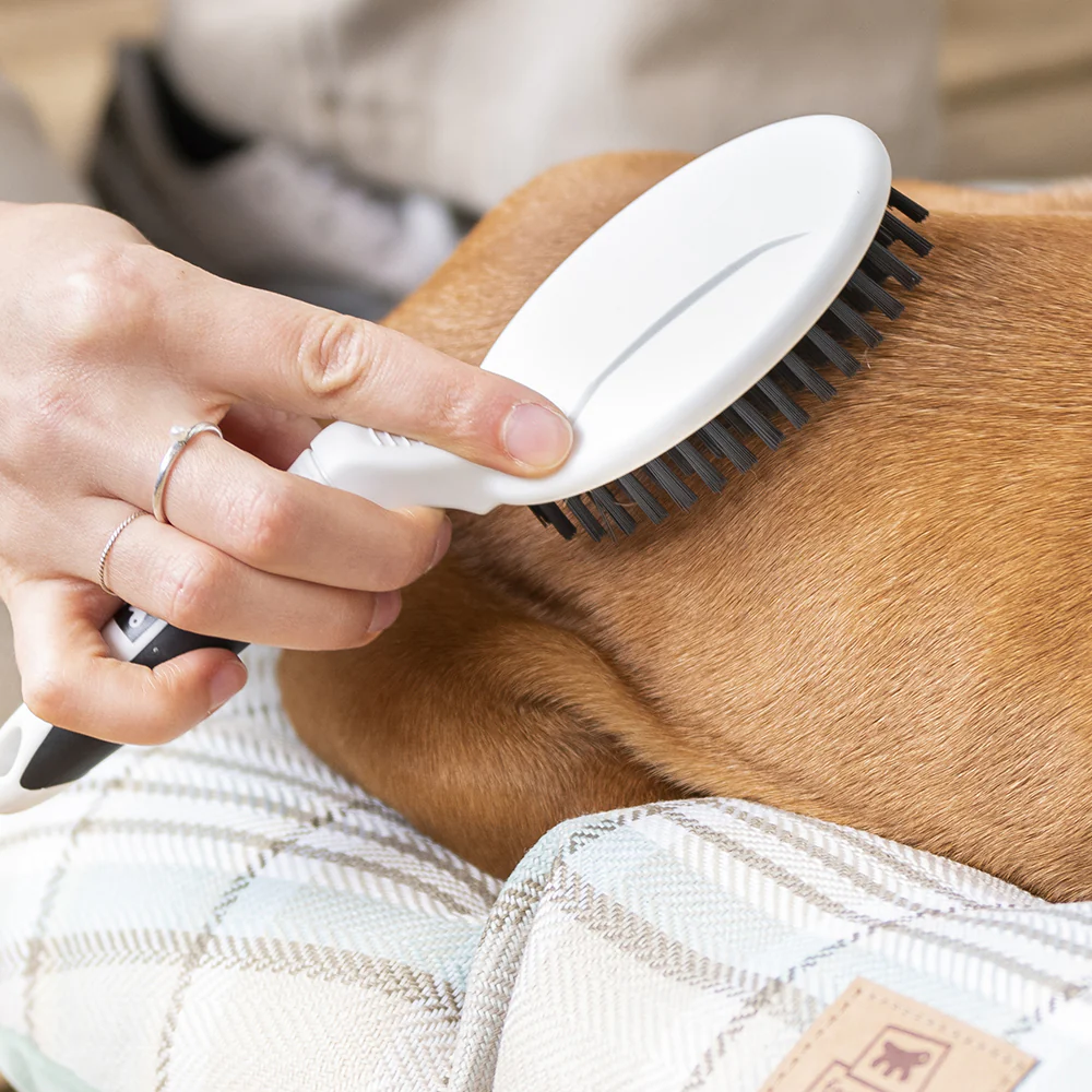 GRO 5759 Premium - Image 4