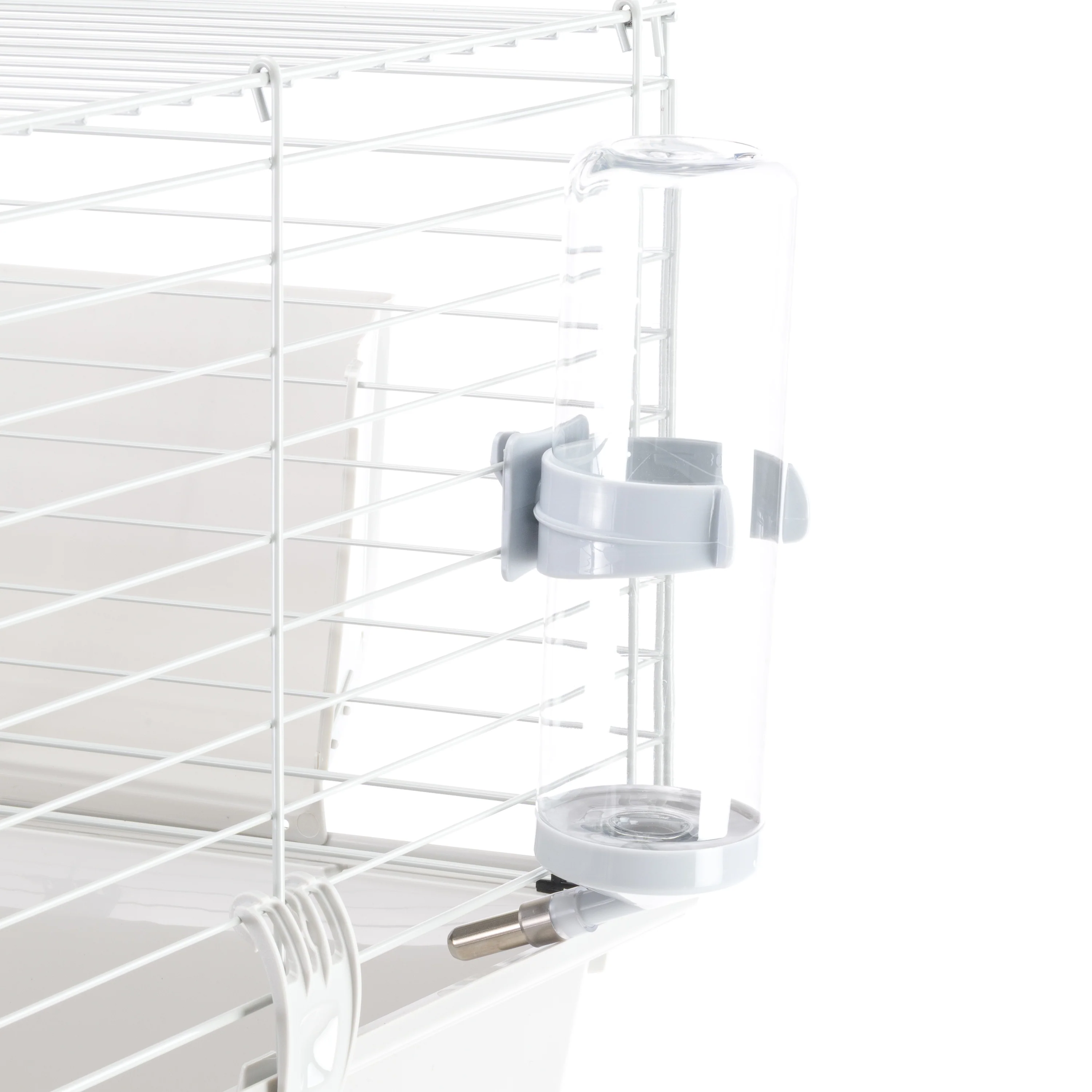 GUINEA 80 - Image 10