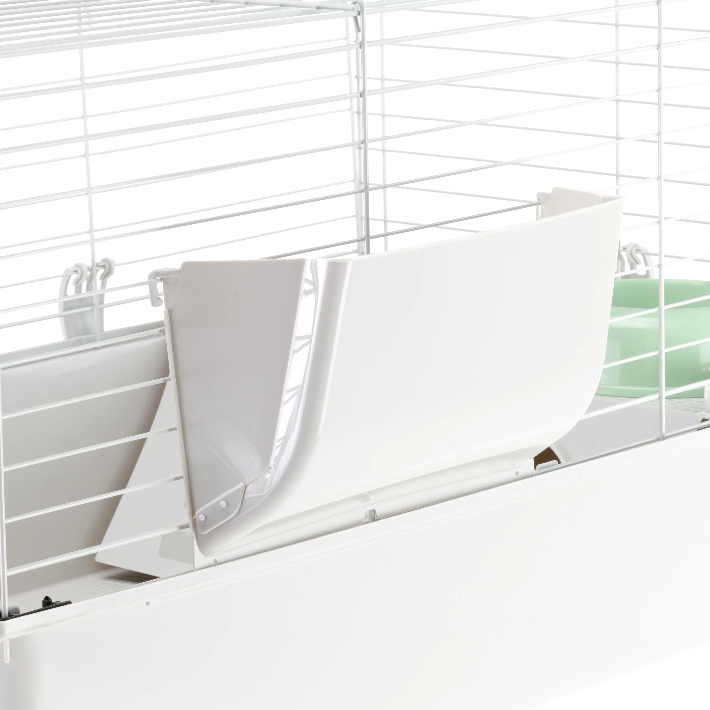 GUINEA 80 - Image 11