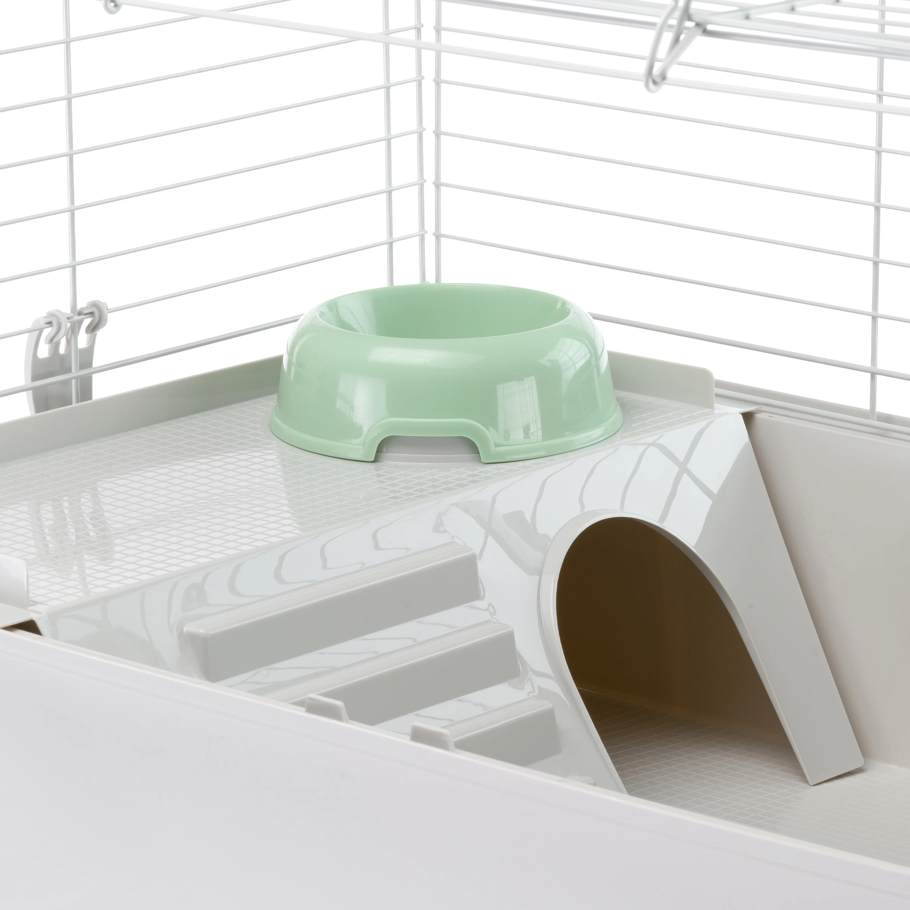 GUINEA 80 - Image 12